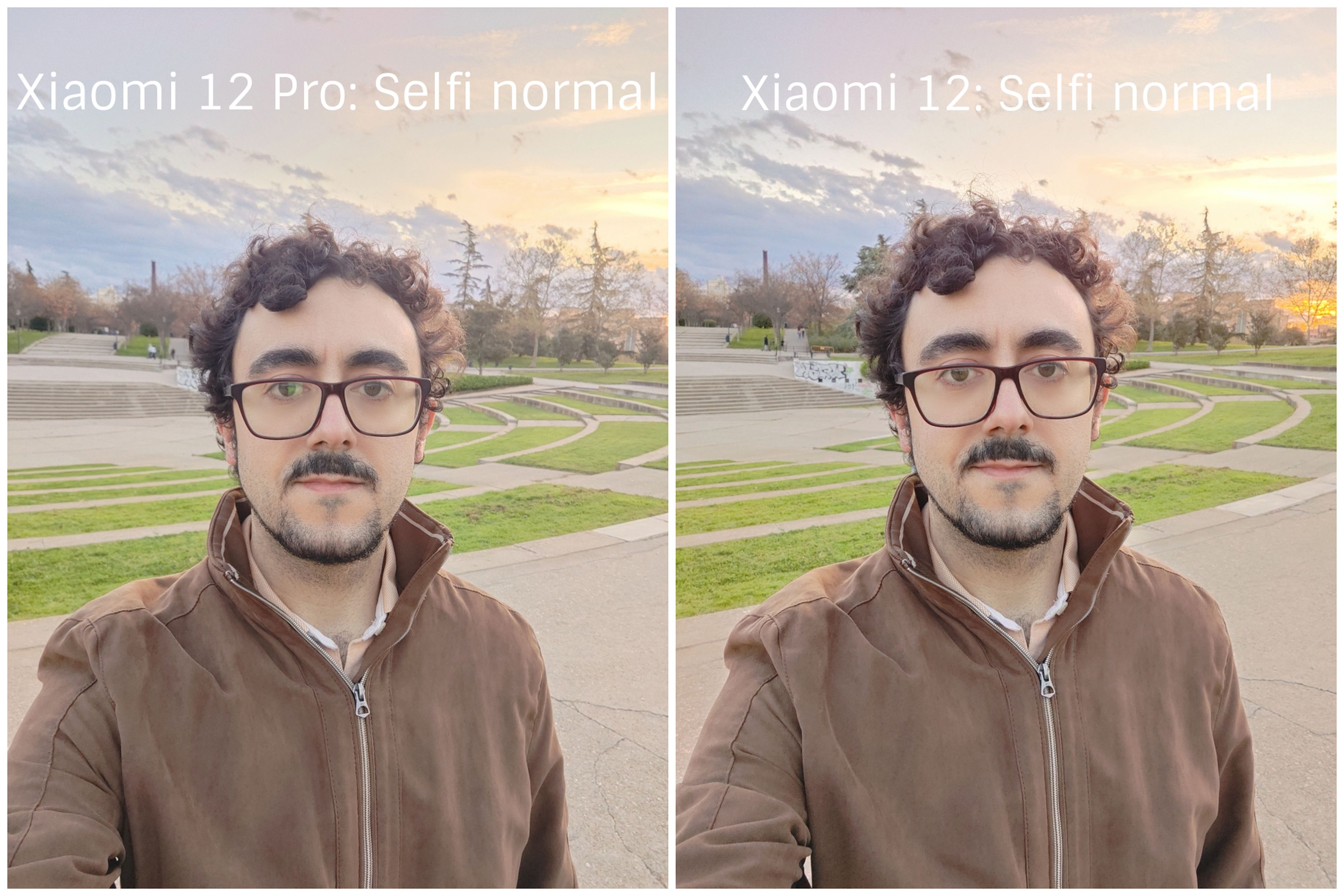 Xiaomi 12 vs 12 Pro