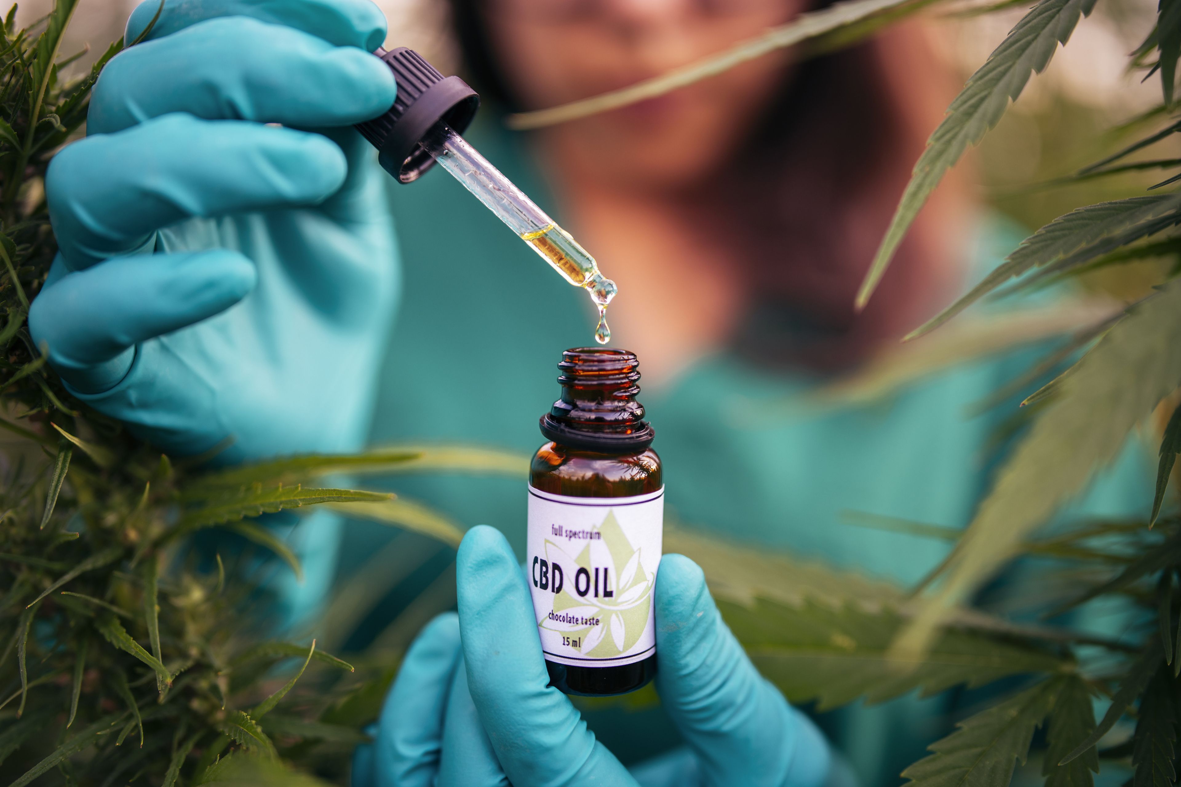 CBD: ¿Qué tiene el aceite de cannabis que está causando furor en EE UU?, Salud, BuenaVida