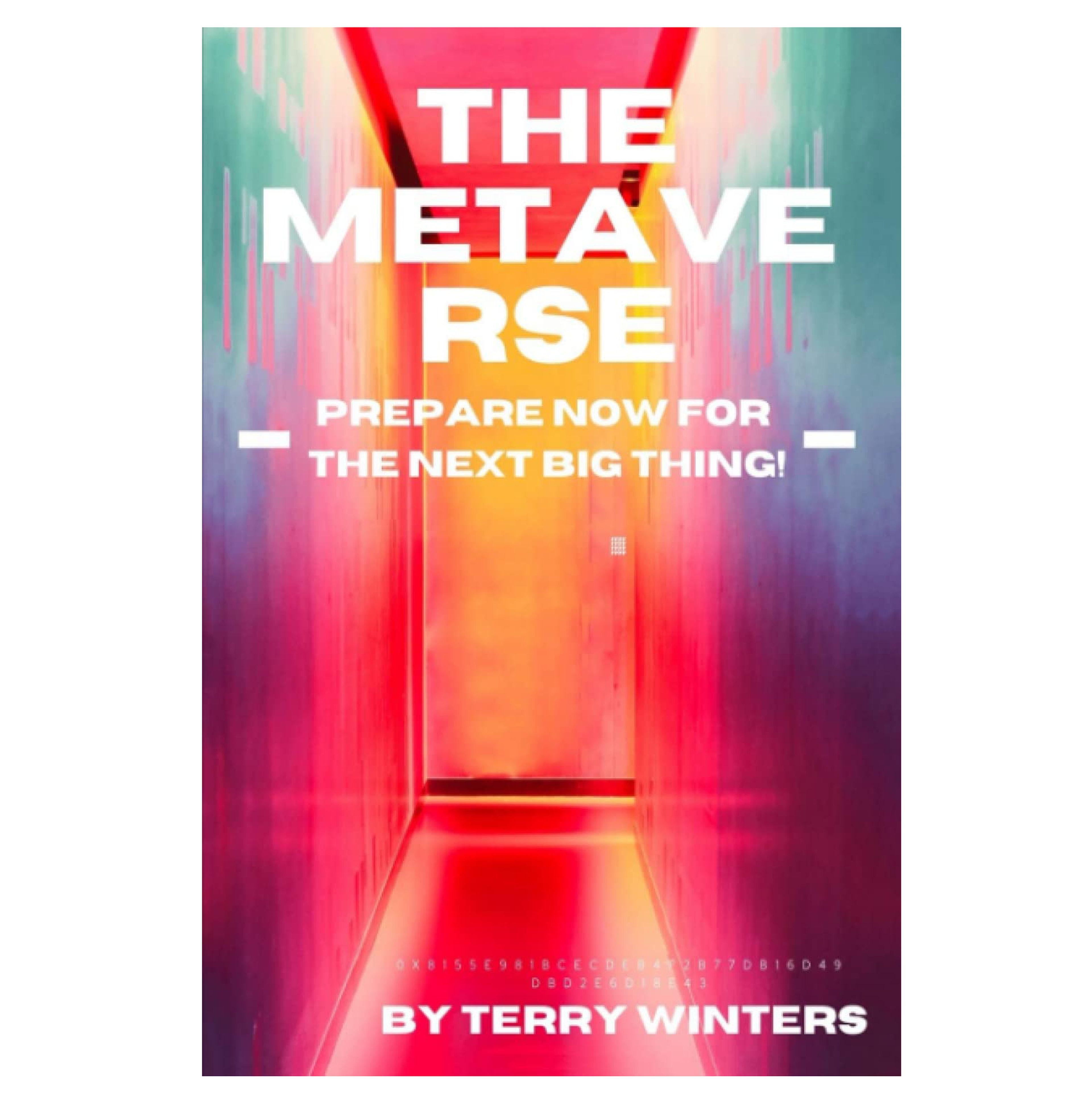 el libro The Metaverse: Prepare Now For the Next Big Thing