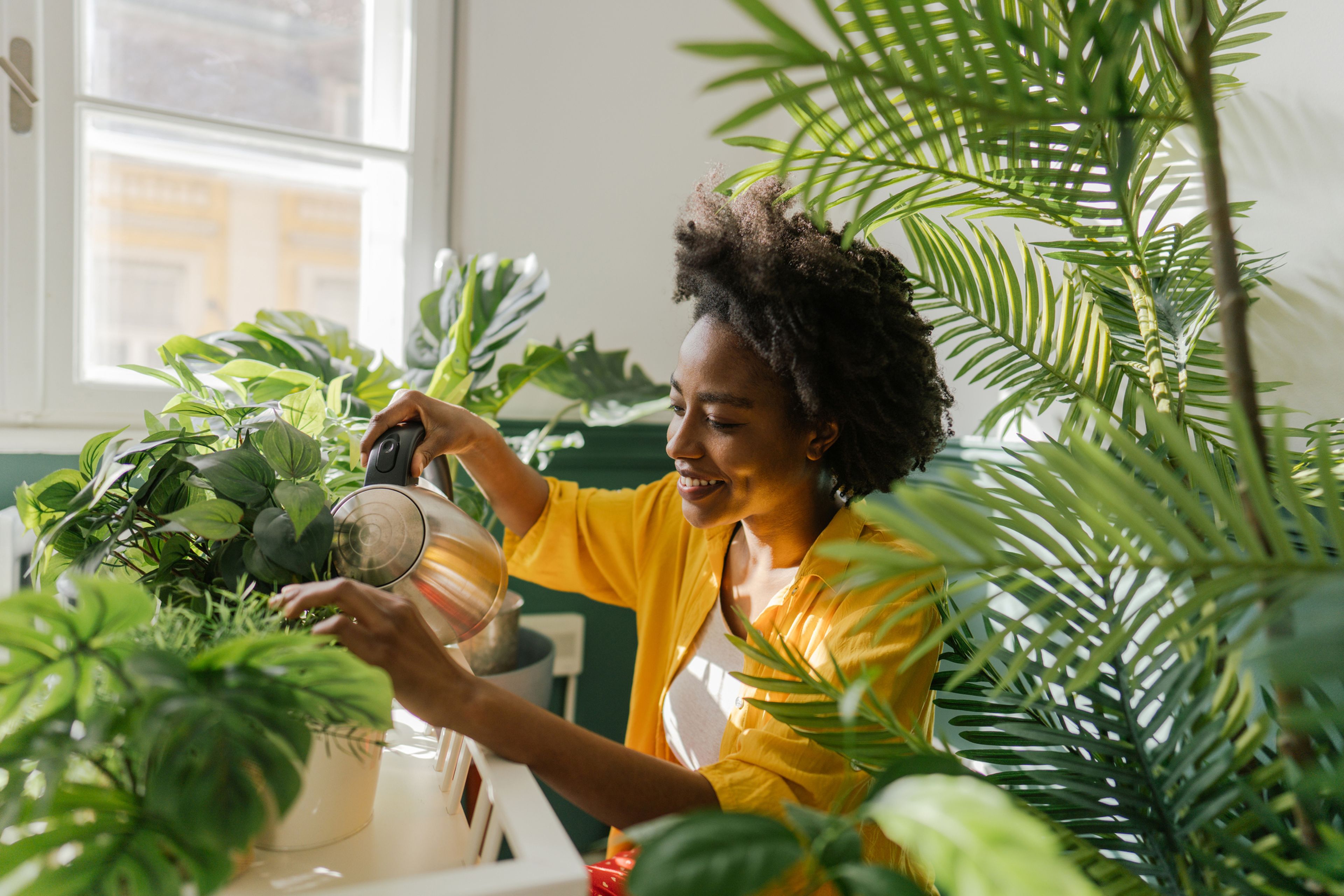 Mujer regando sus plantas en casa