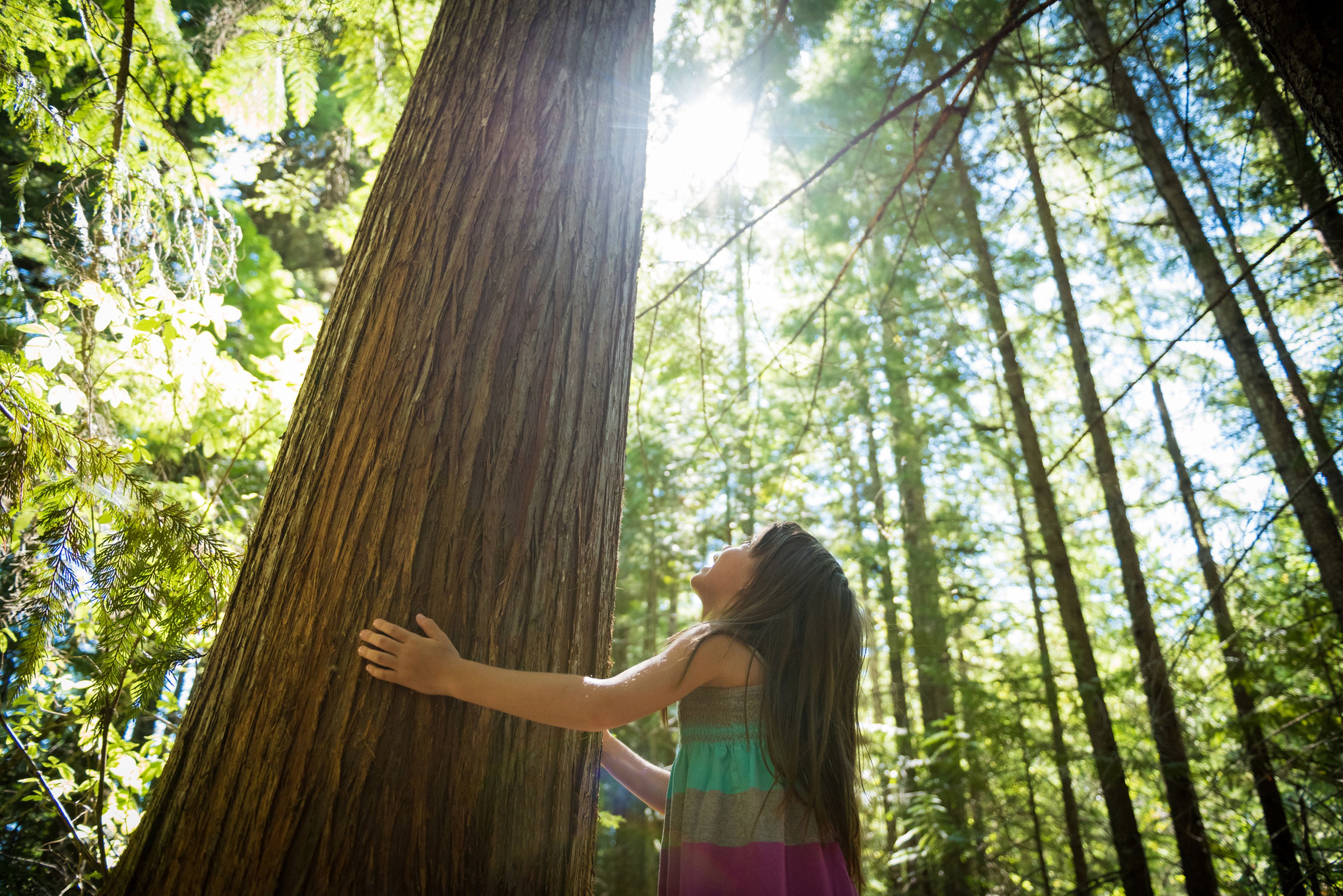 Una niña abraza a un árbol, imagen de sostenibilidad