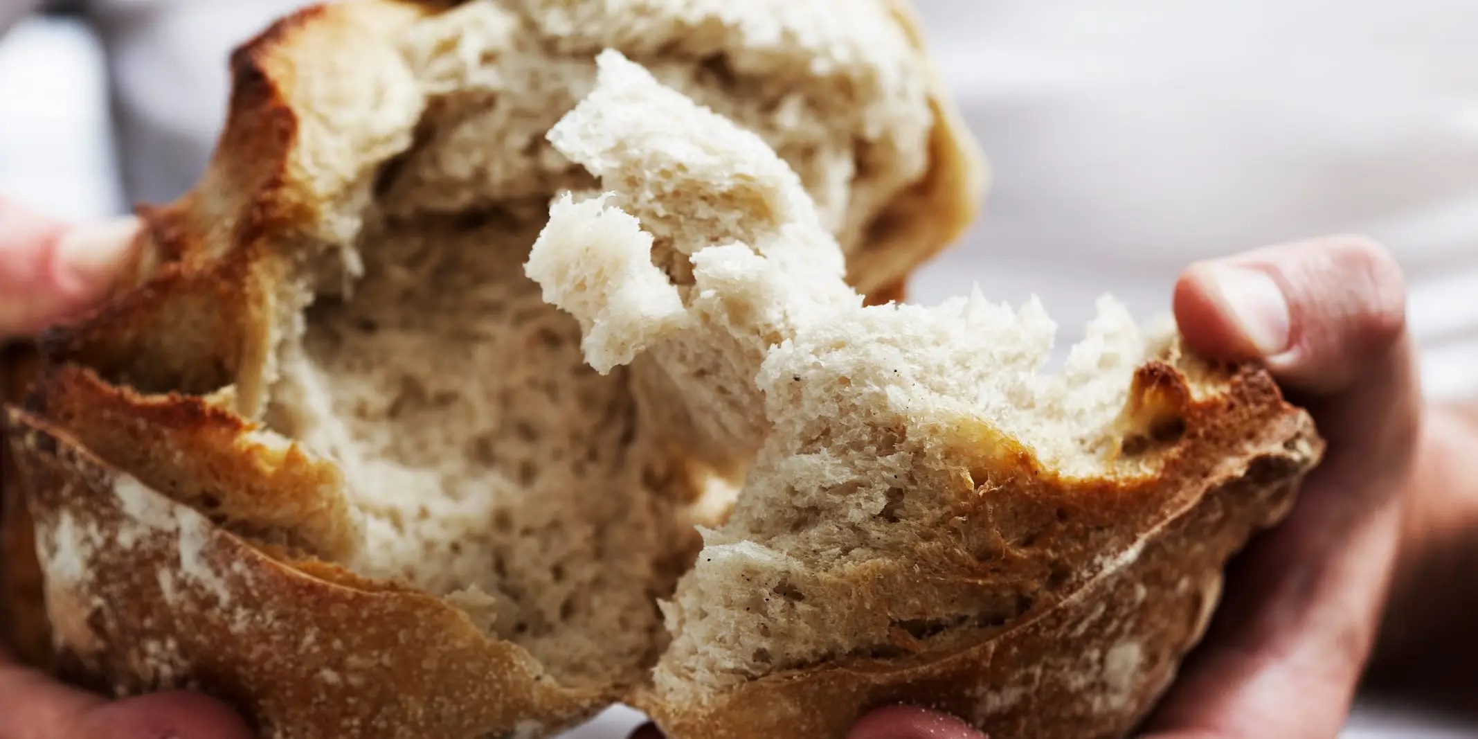 Beneficios de los panes elaborados con cereales integrales
