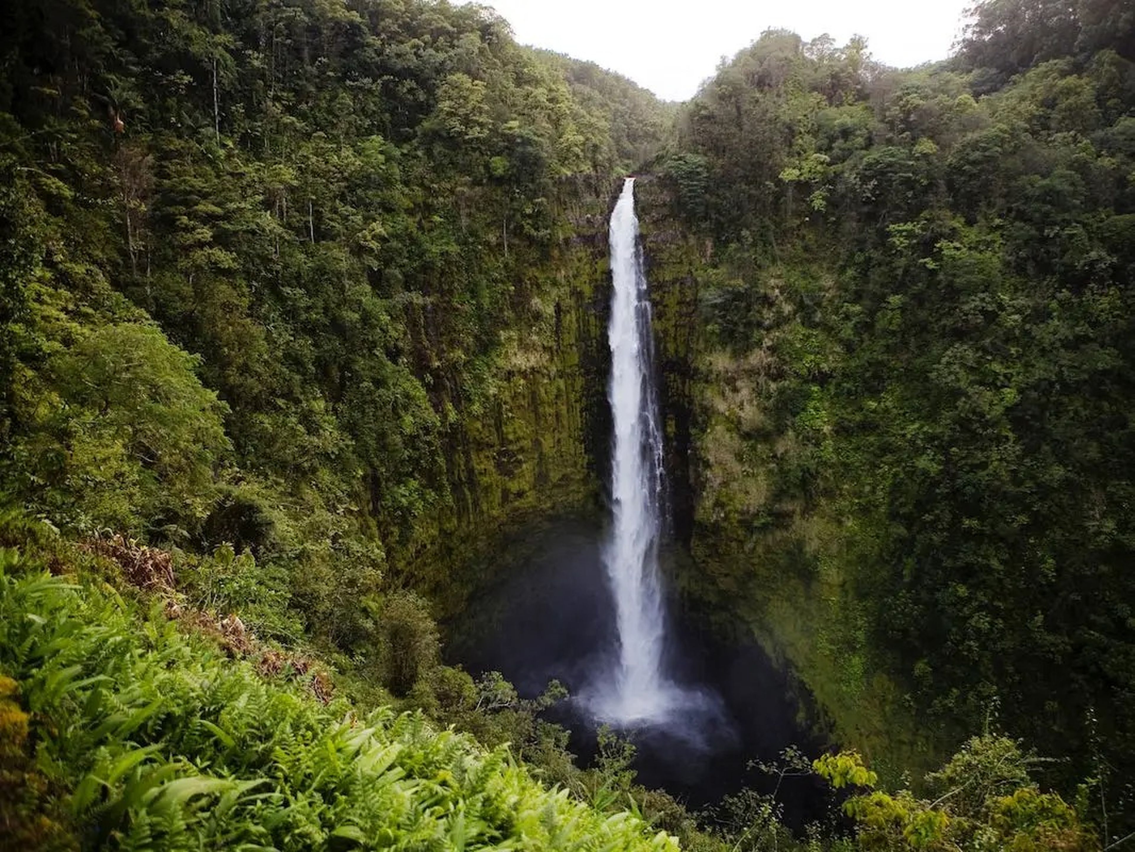 Las Cataratas de Akaka Falls se encuentran en la isla grande de Hawái.