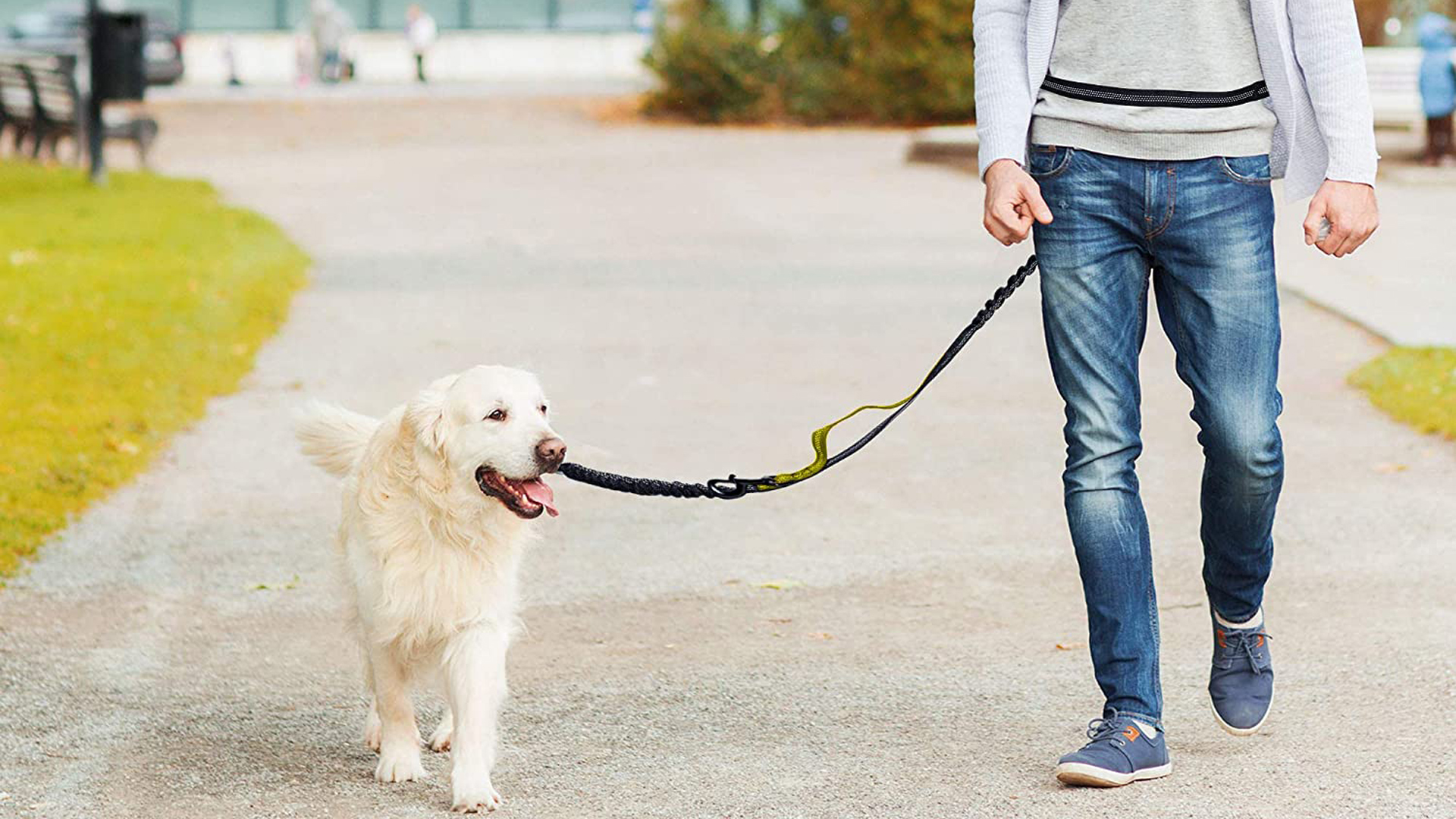 Senderismo cinturón Ajustable y Bolsa con elástico Reflectante Ideal para Perros pequeños y medianos Correa para Perro con Manos Libres para Correr Caminar Dawa Verde 