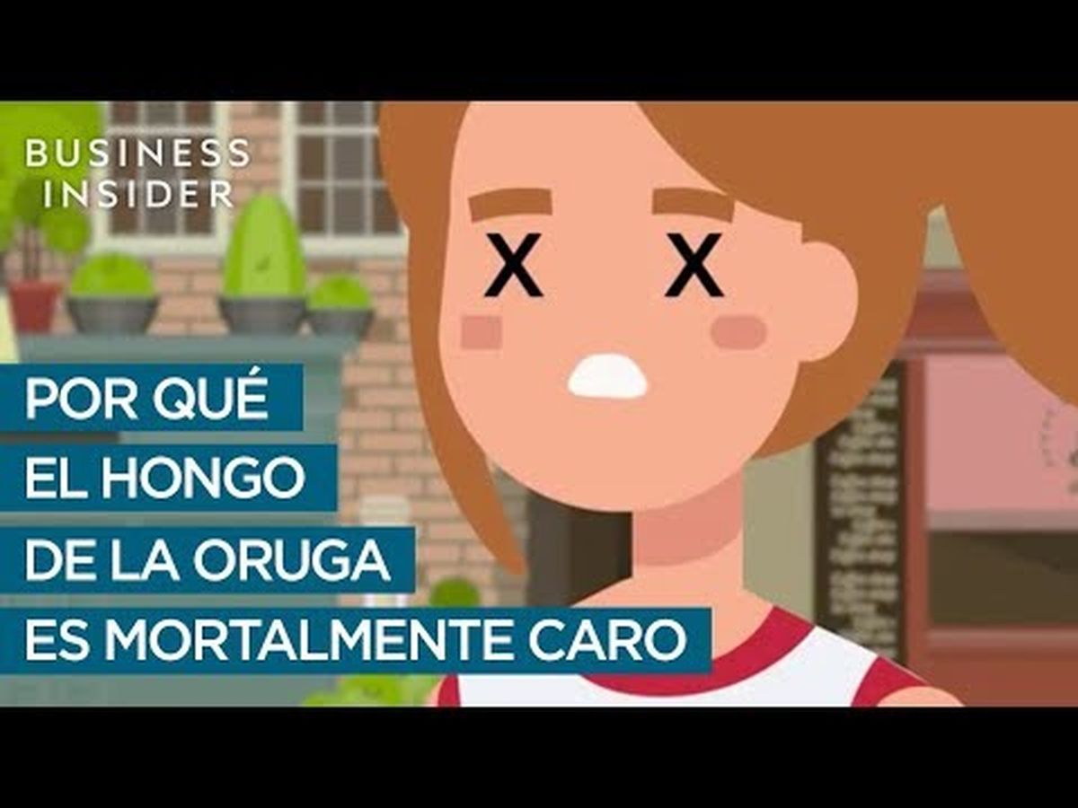 Este es el parásito más caro del mundo, el hongo de la oruga