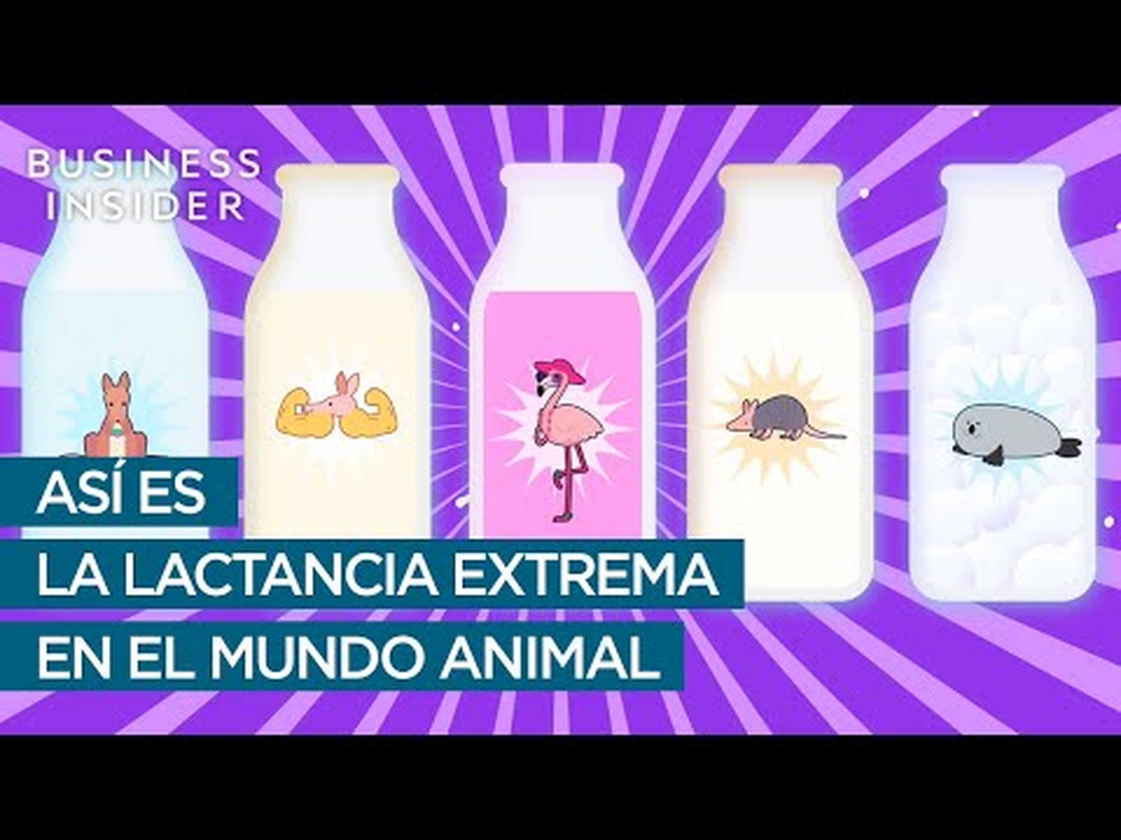 Así es la lactancia extrema en el mundo animal
