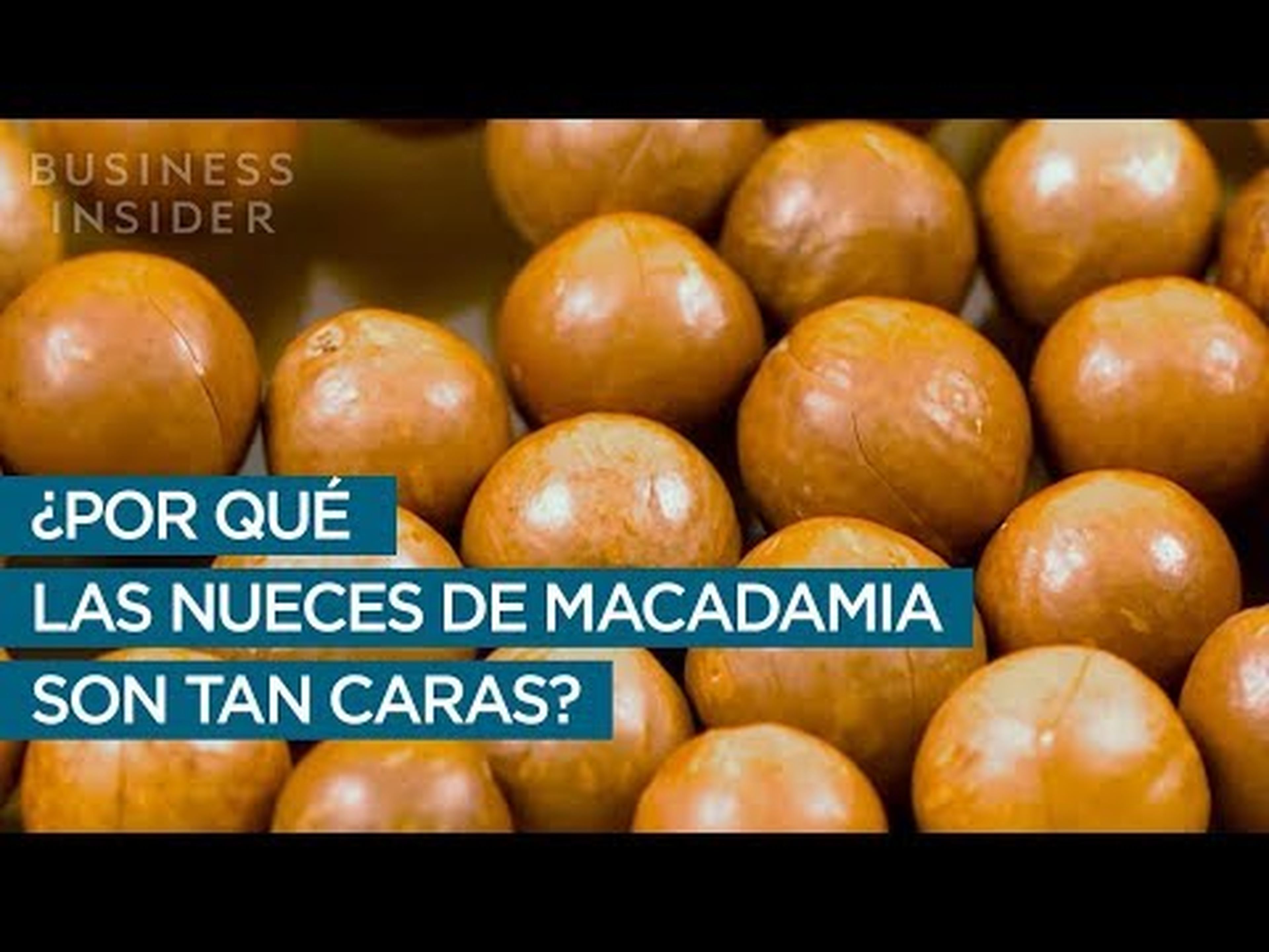 ¿Por qué las nueces de Macadamia son tan caras?