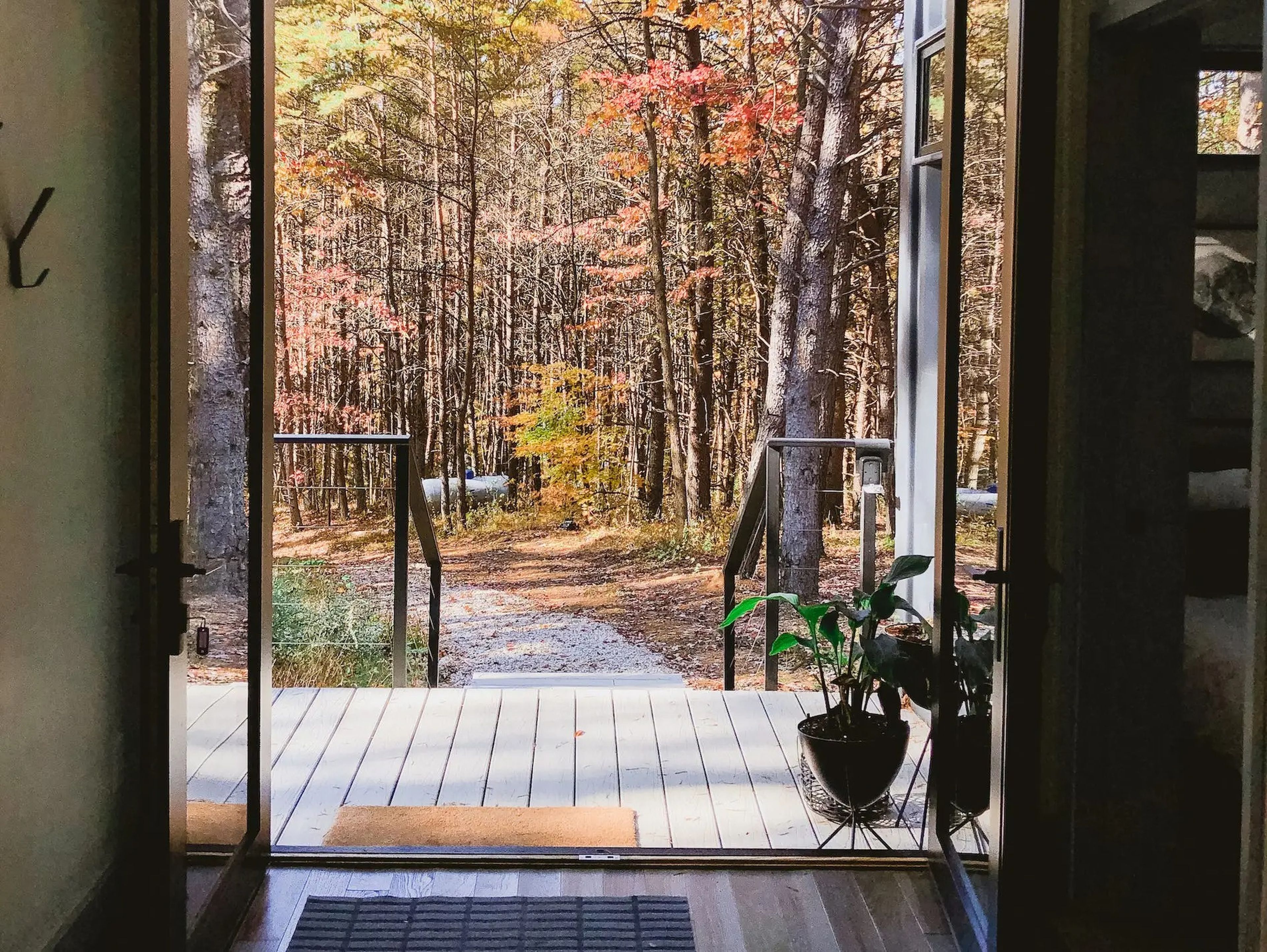 Open doors inside the the OG Box, a shipping container home, leading out to trees.