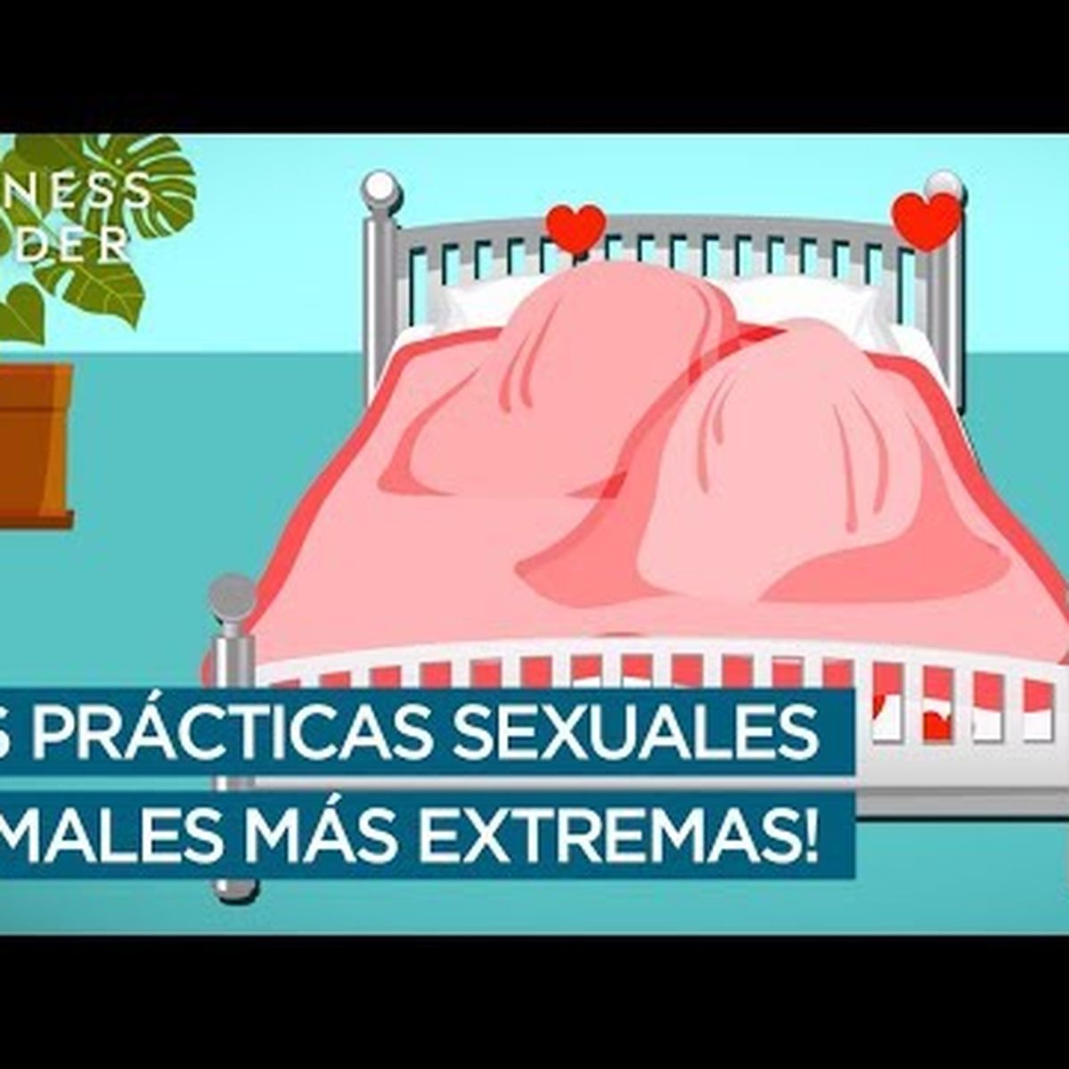 Las relaciones sexuales más extremas del reino animal