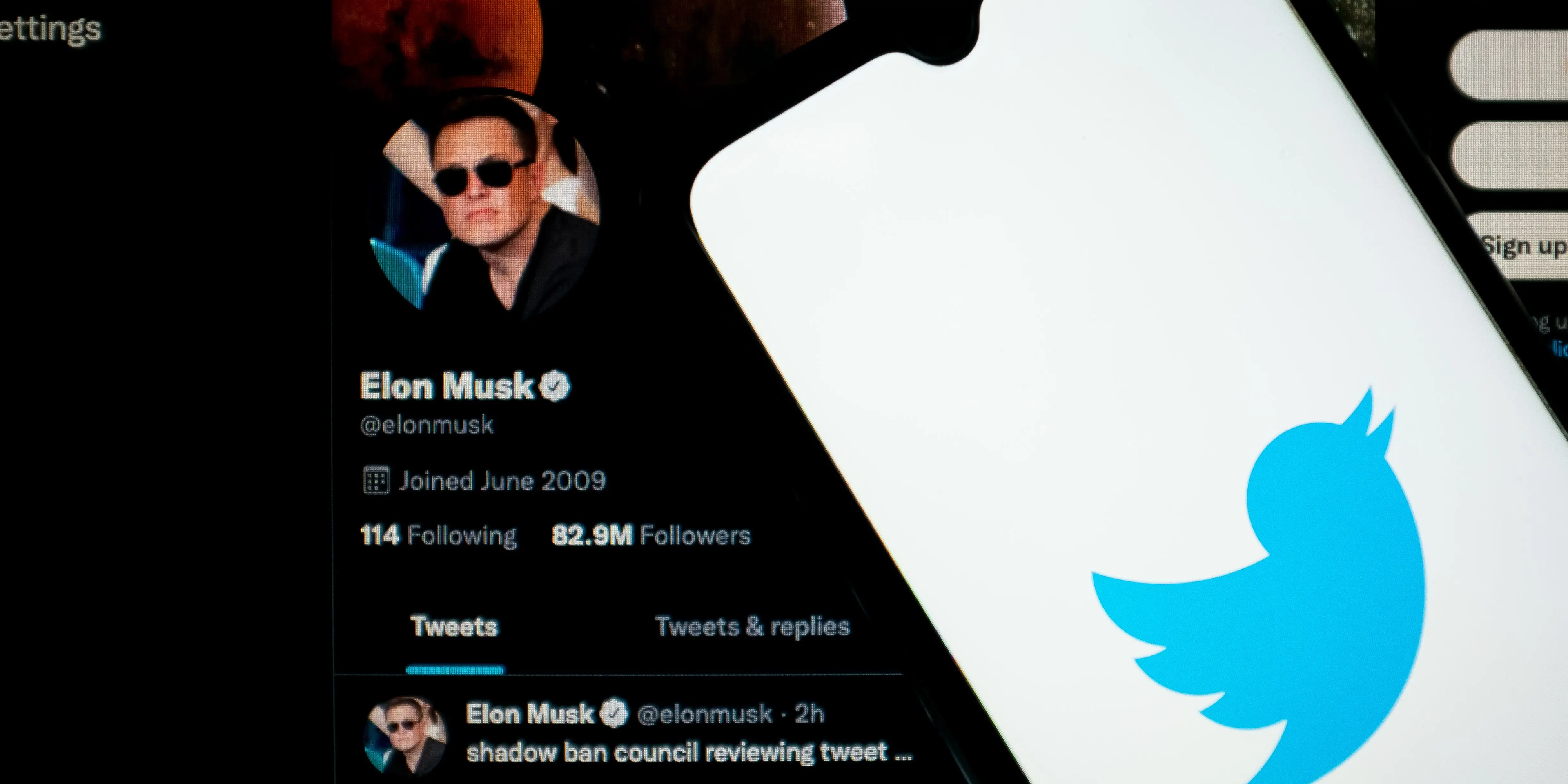 Elon Musk y Twitter.