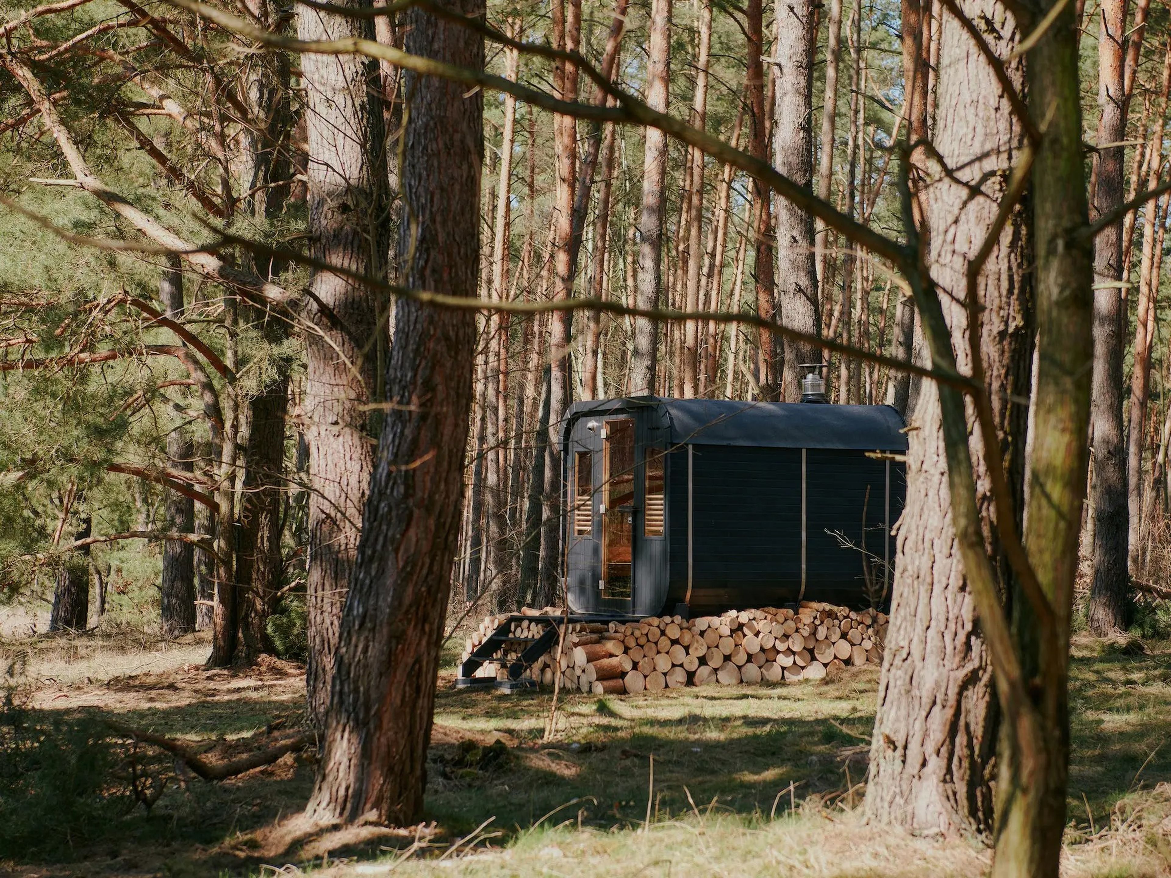 Una cabaña de Raus en la naturaleza, rodeada de densos y altos árboles.