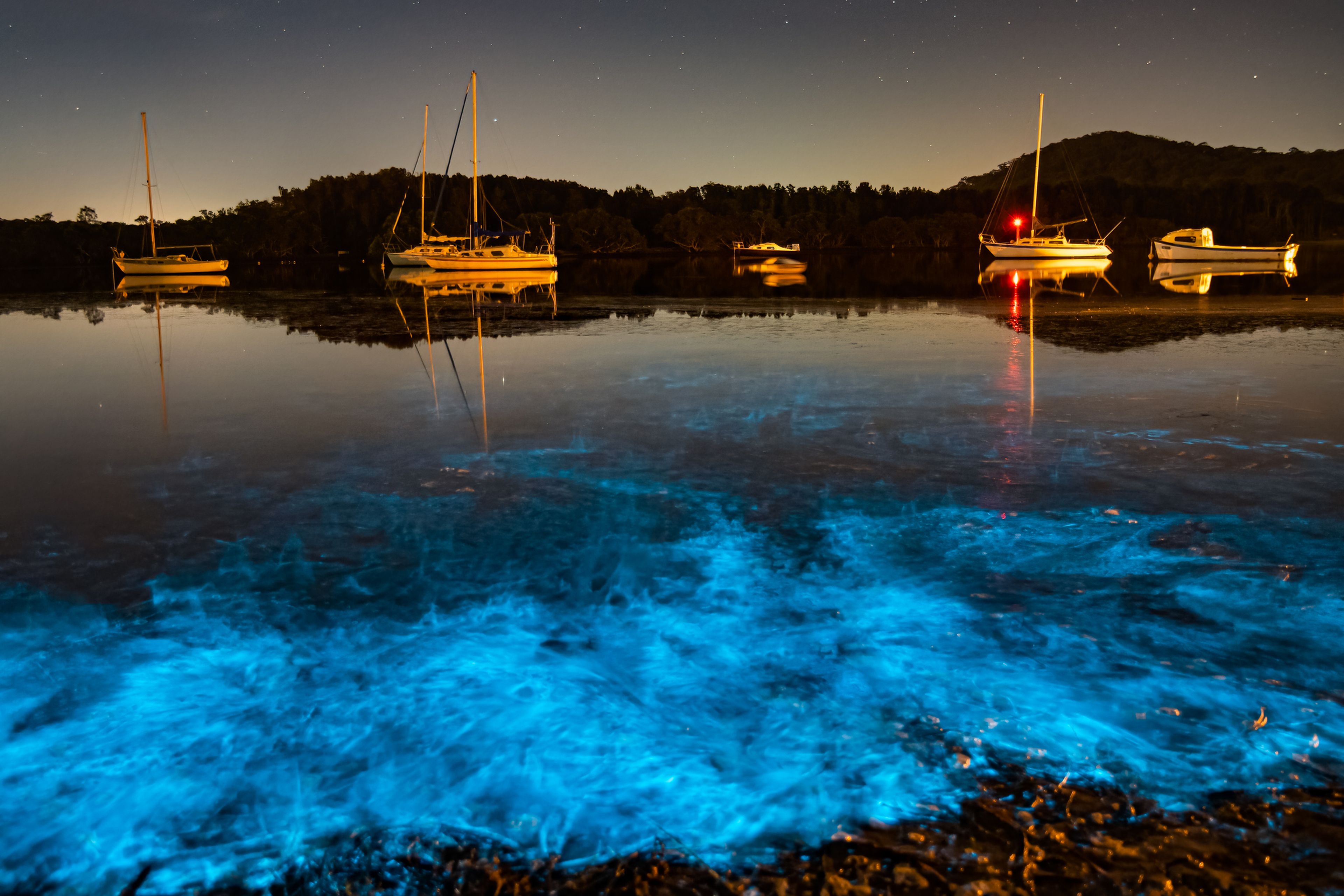 Mar con bioluminiscencia.