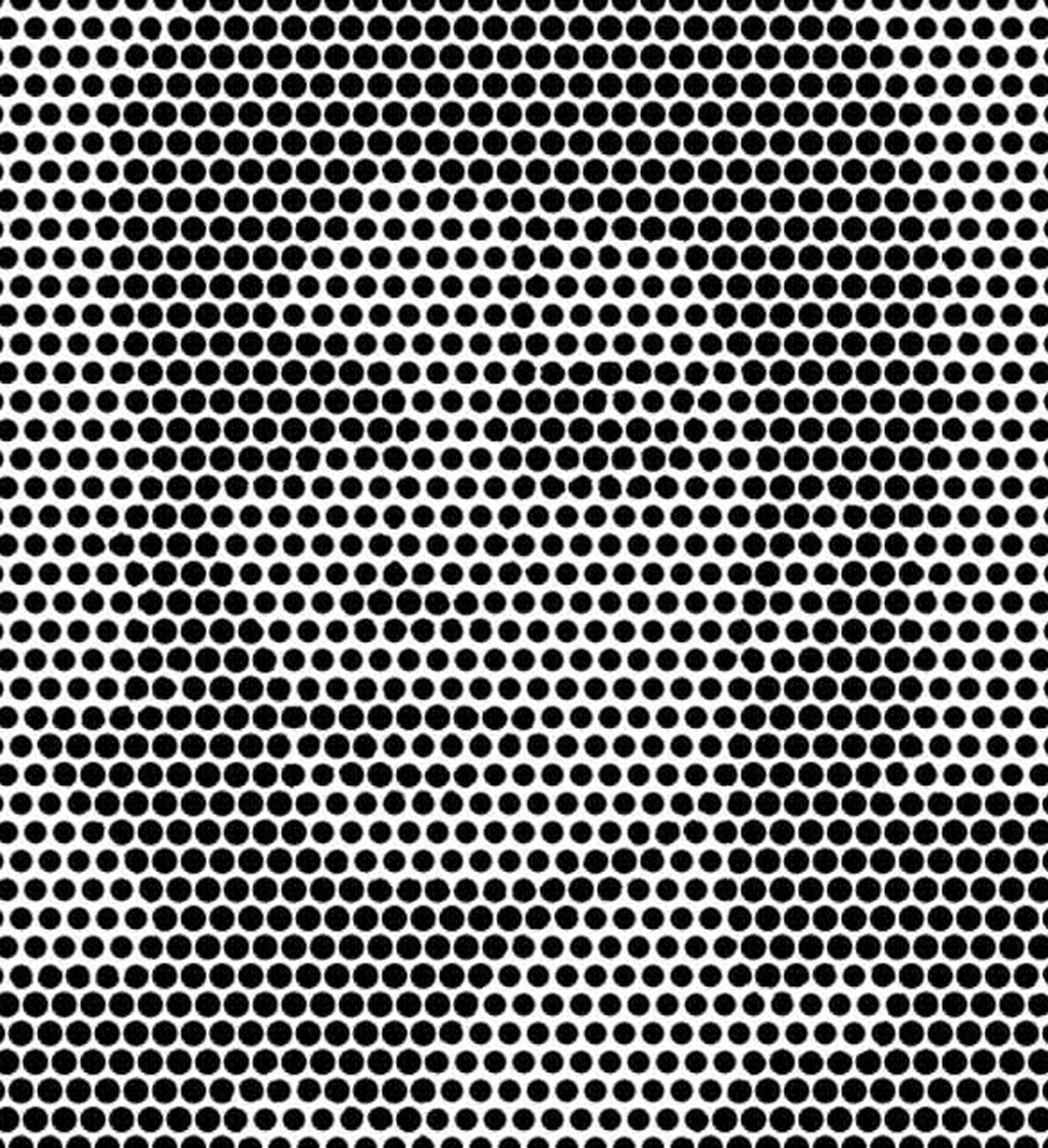 Ilusion optica famoso reto visual