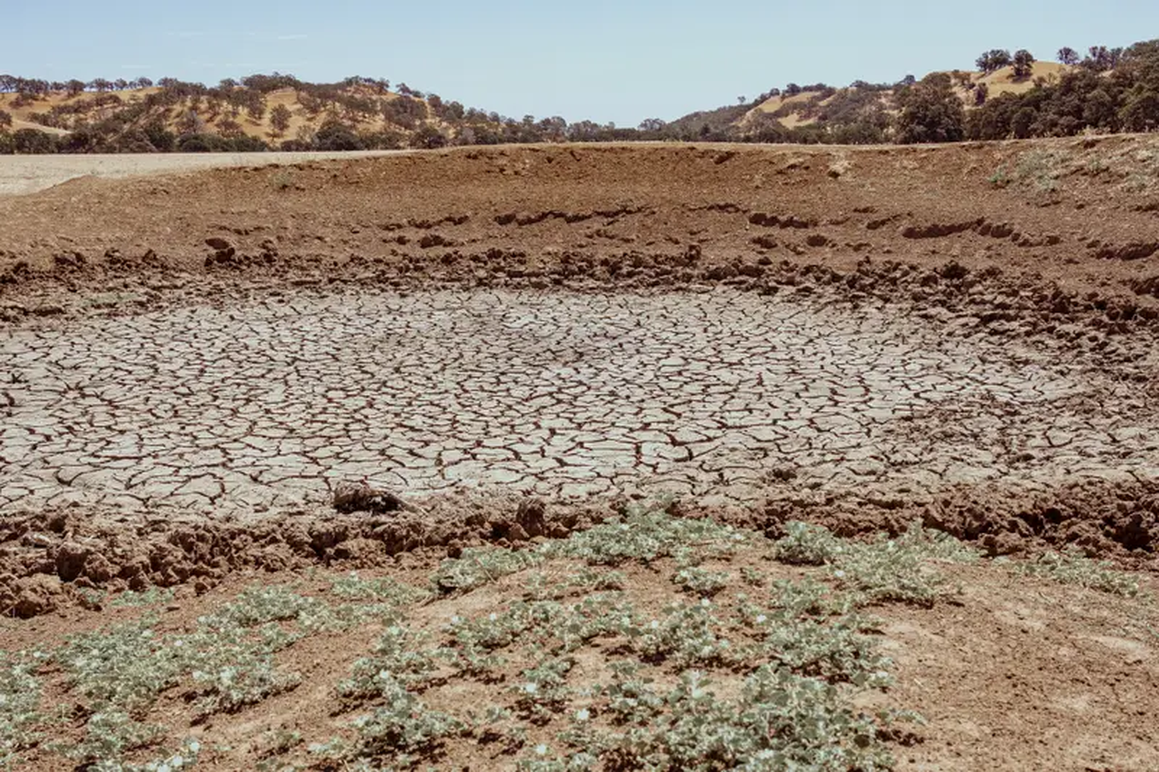 Tierra agrietada y seca en un rancho de Yolo Land & Cattle.