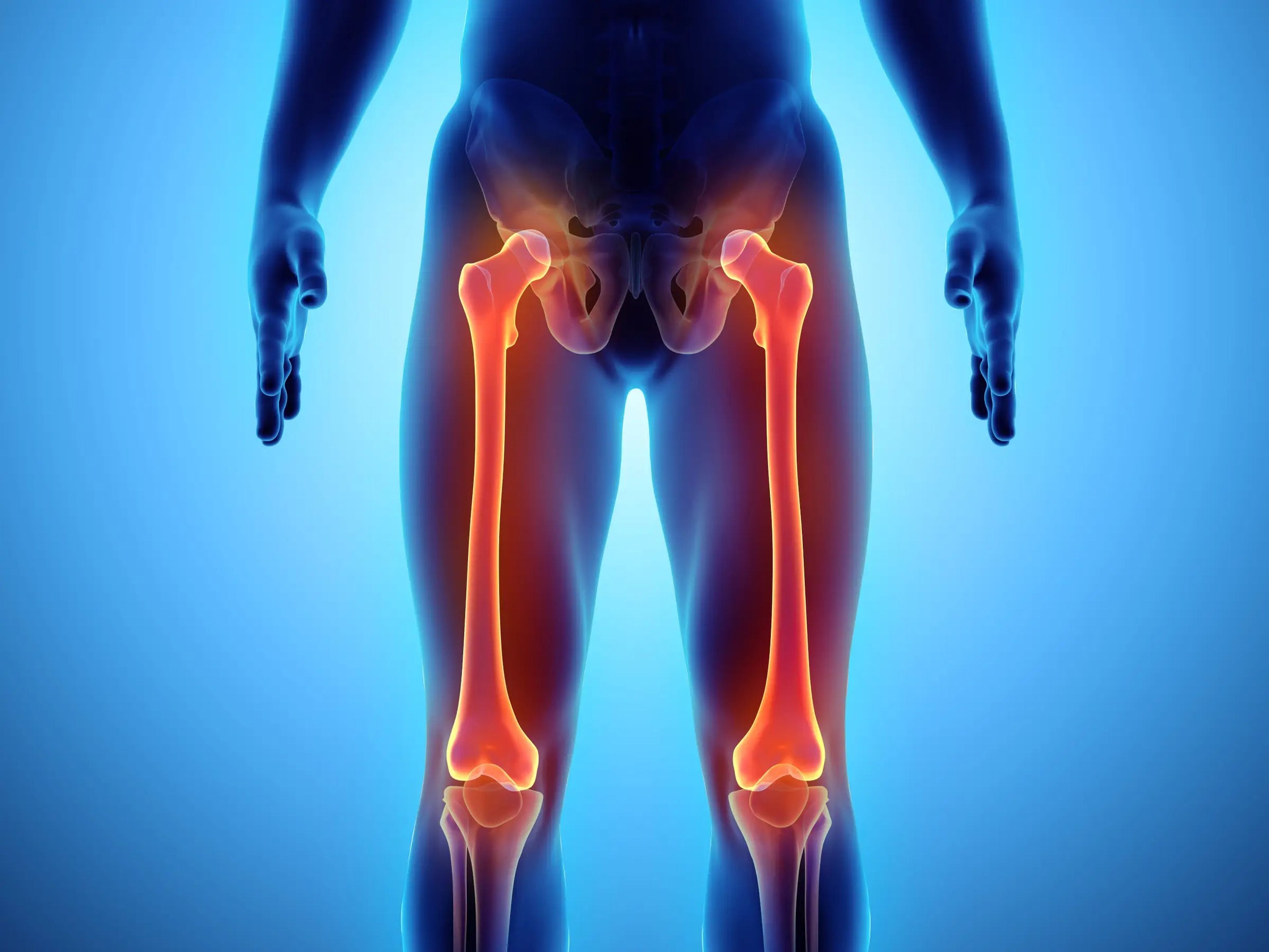 Una ilustración médica en 3D de los huesos del fémur en la pierna.