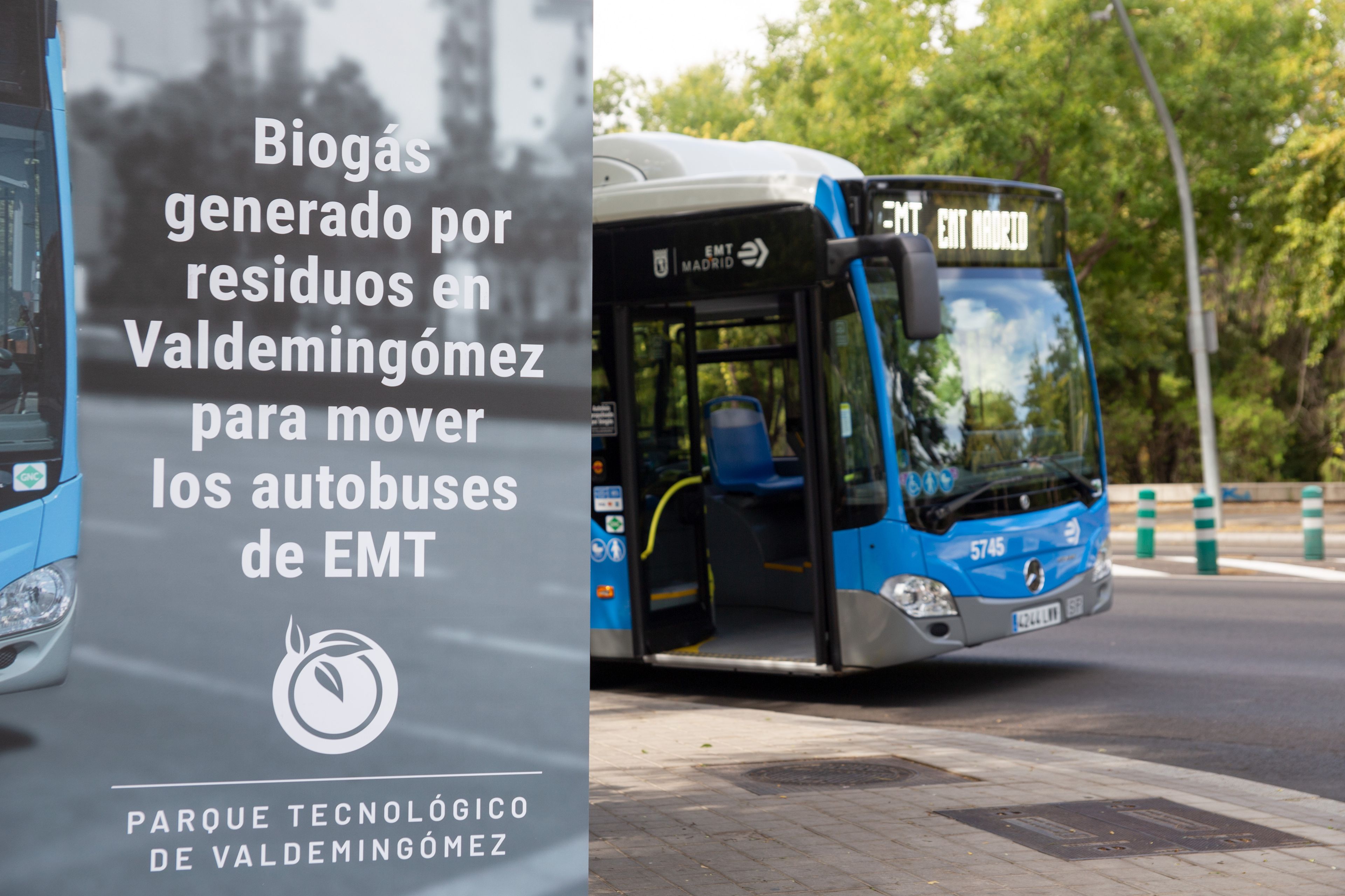 Los 20 autobuses de la Línea C1 de Madrid ya funcionan con Biogás. Foto: Madrid.es