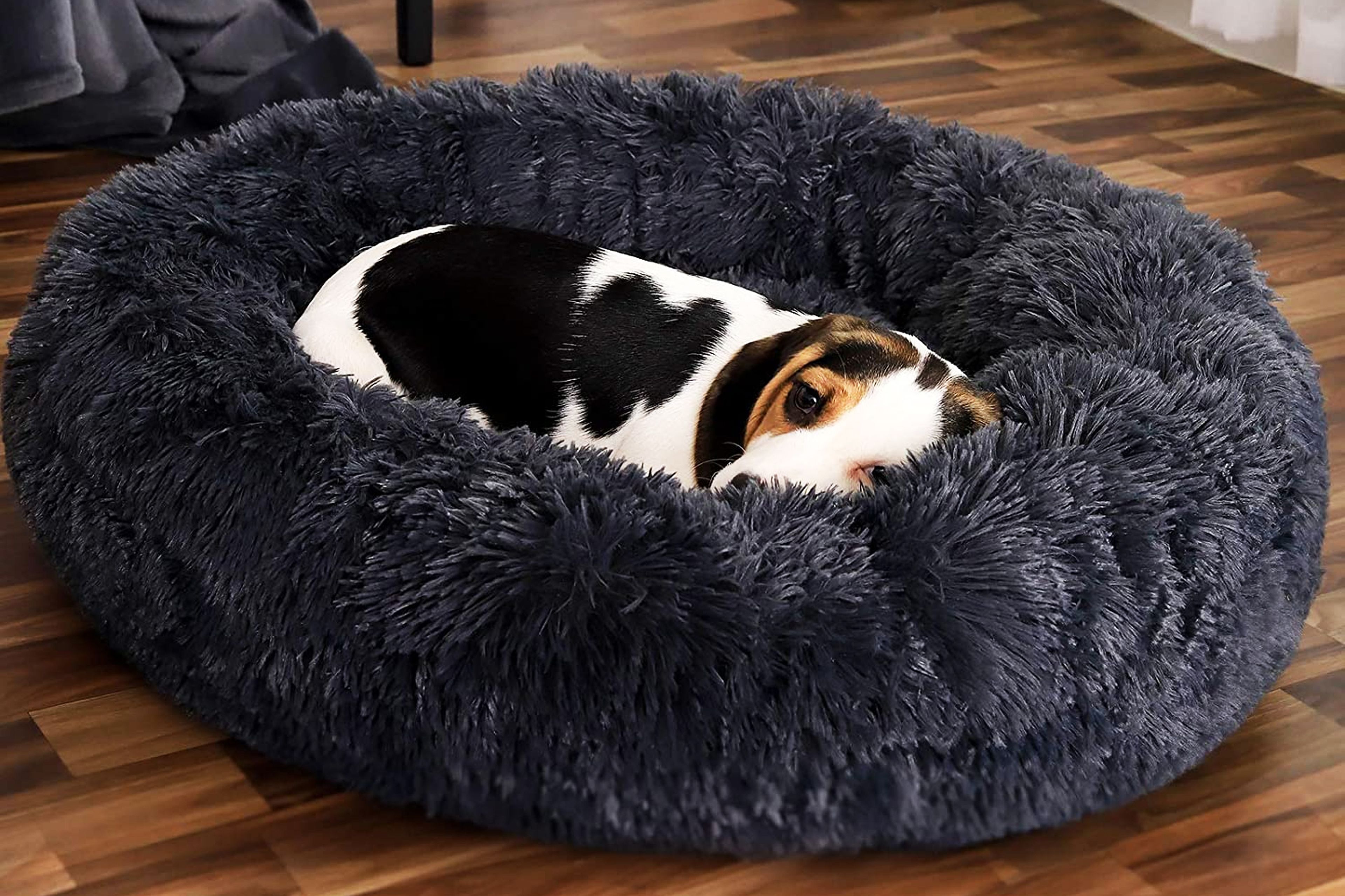 Desenmarañar Won germen Mejores camas para perros que puedes comprar | Business Insider España