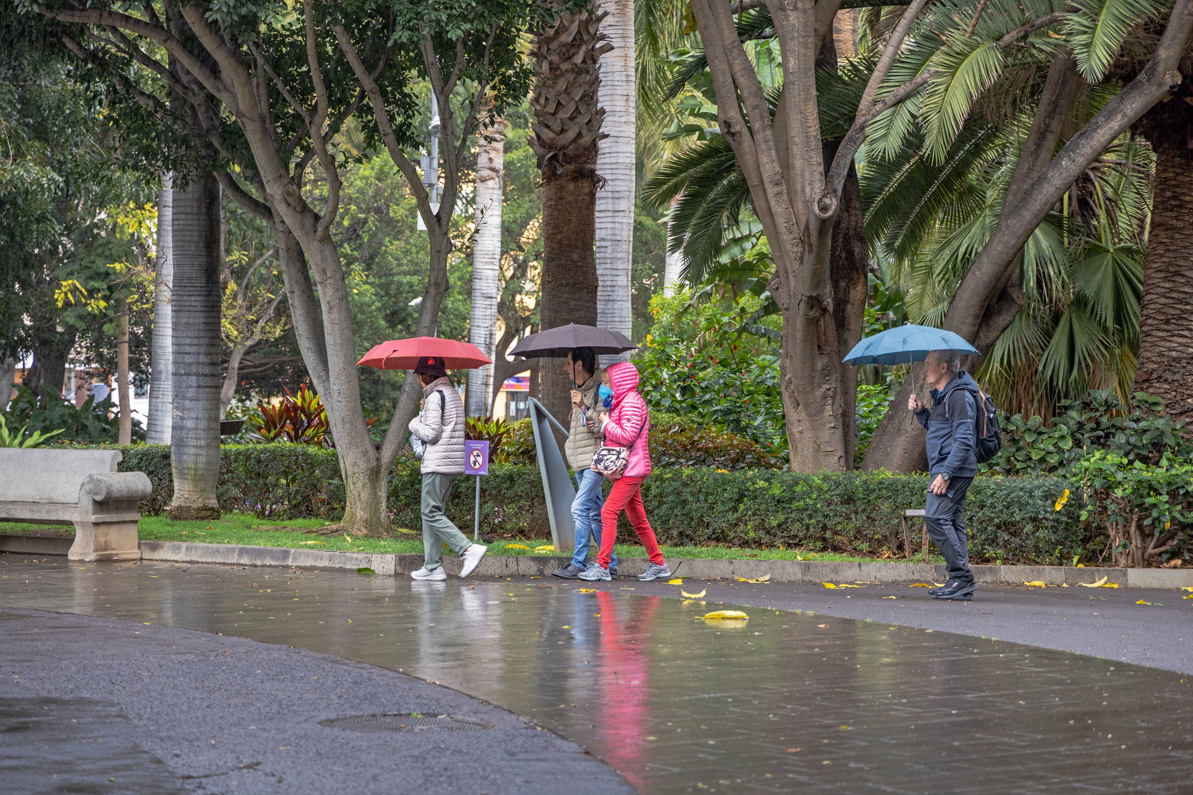 Lluvia en Canarias, personas con paraguas en Tenerife
