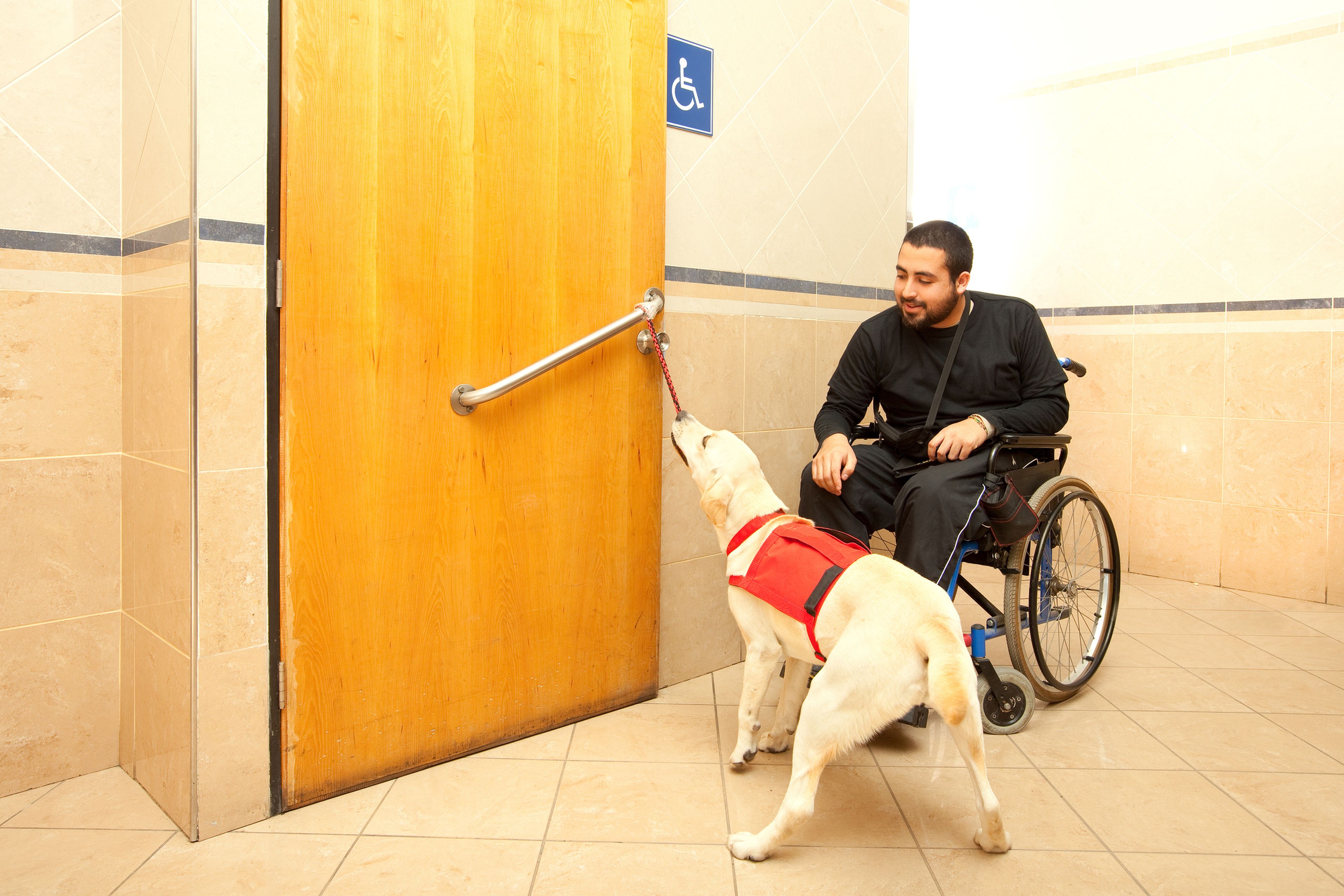 perro asistencia, persona con movilidad reducida, persona en silla de ruedas