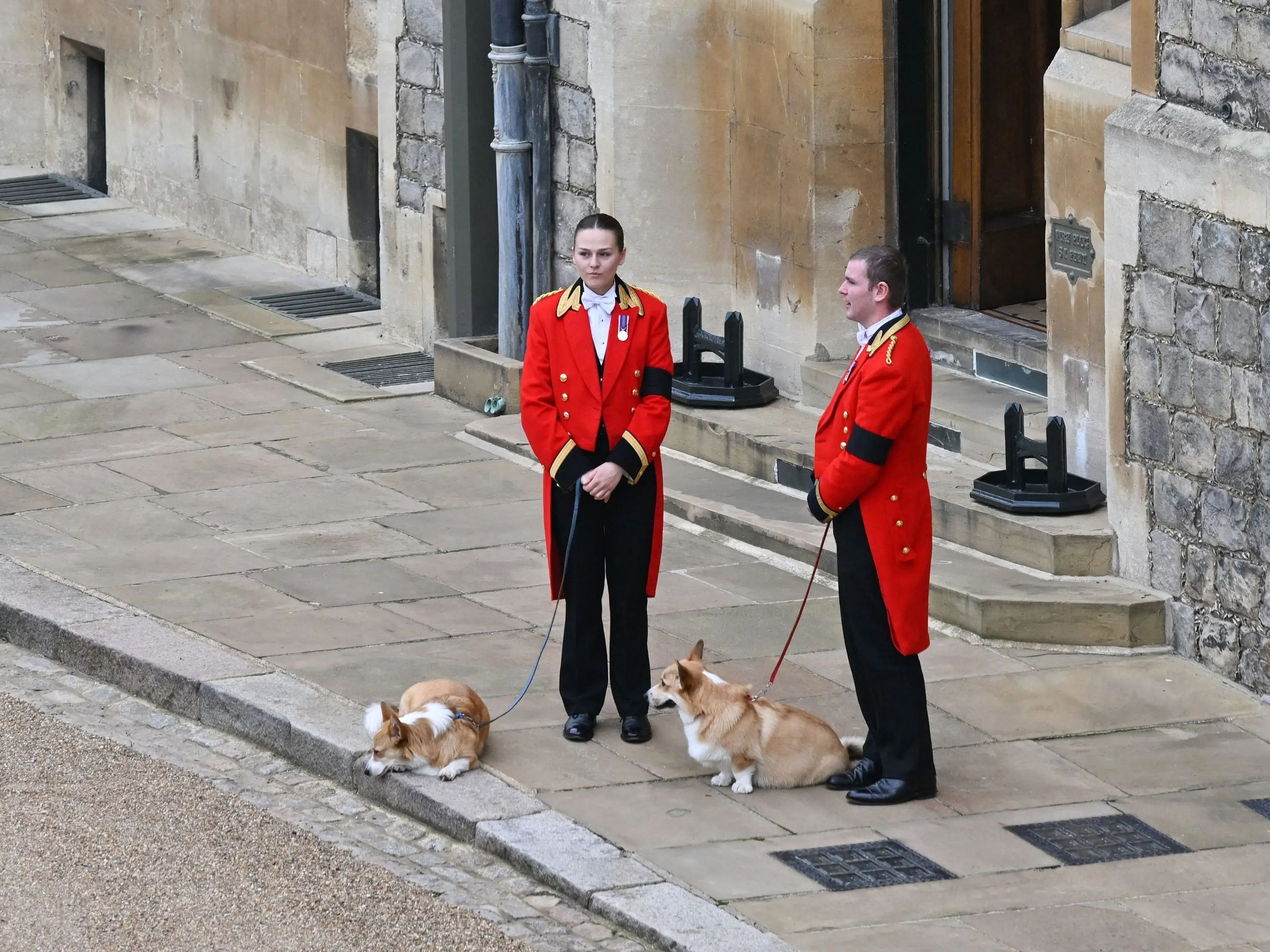 Los corgis de la reina, Muik y Sandy, antes de la misa del funeral de la reina Isabel II.