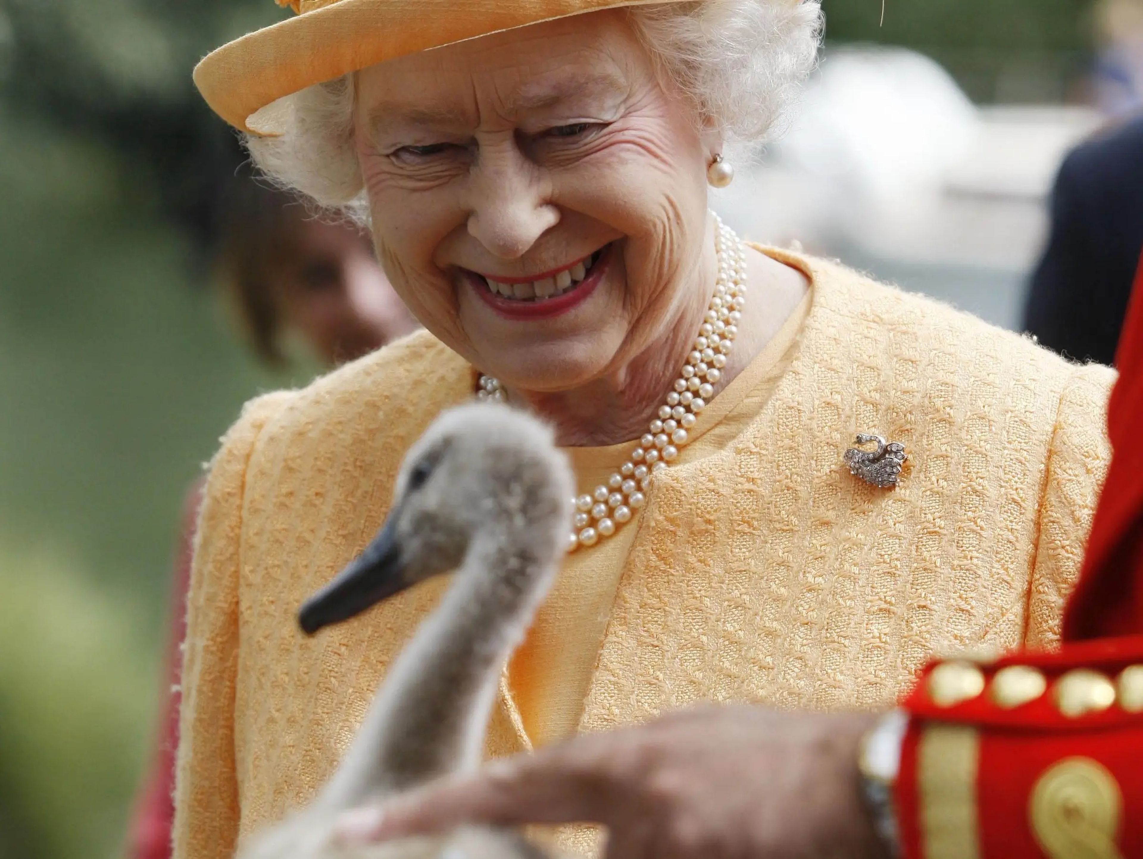 La reina Isabel II sonriendo a un cisne.