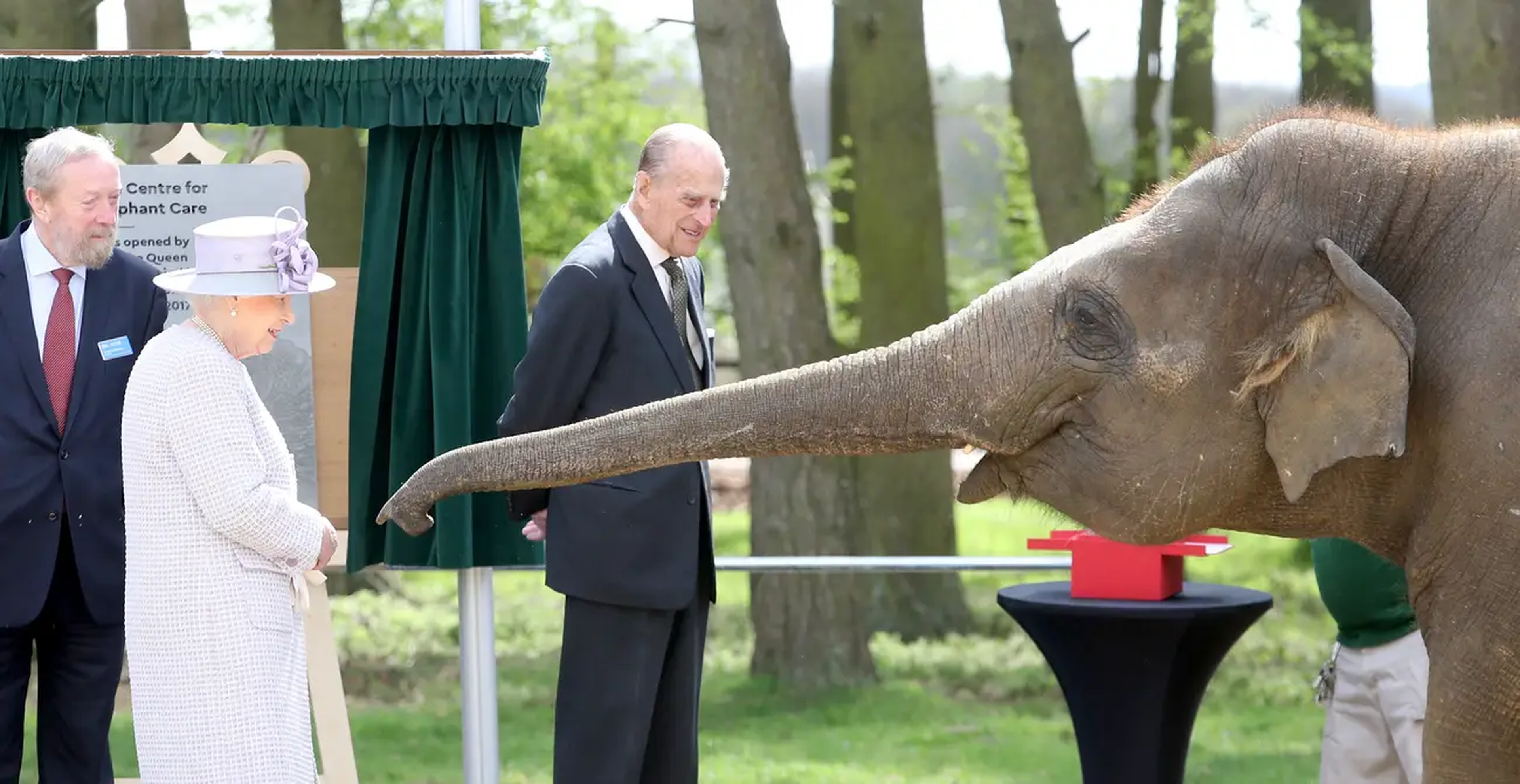La reina Isabel y el príncipe Felipe le dan un plátano a la elefanta Donna mientras visitan el zoológico de Whipsnade en 2017.