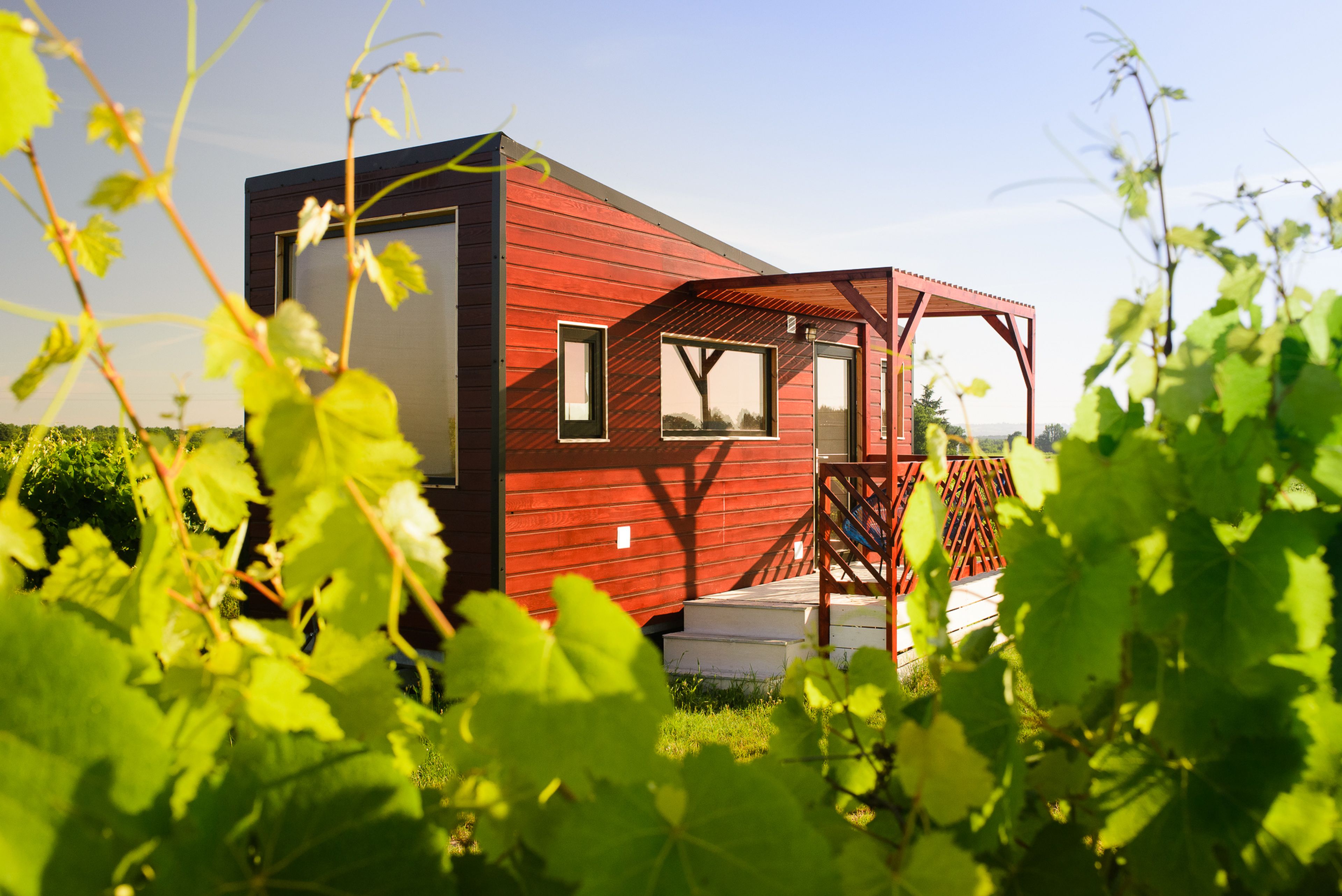 Una 'tiny house' entre viñedos, una opción de turismo sostenible que suma cada vez más adeptos.