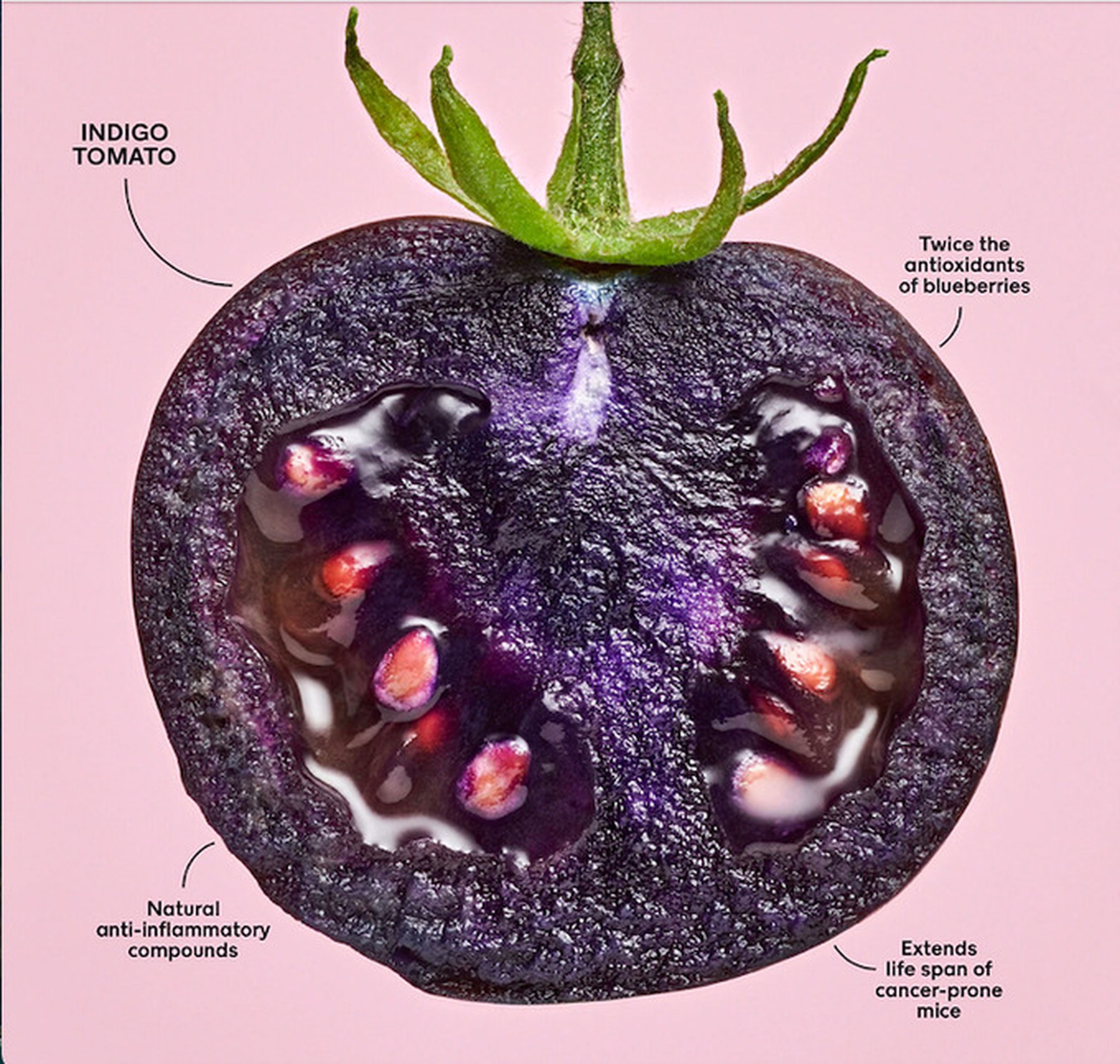 Ilustración describiendo los beneficios del tomate morado.