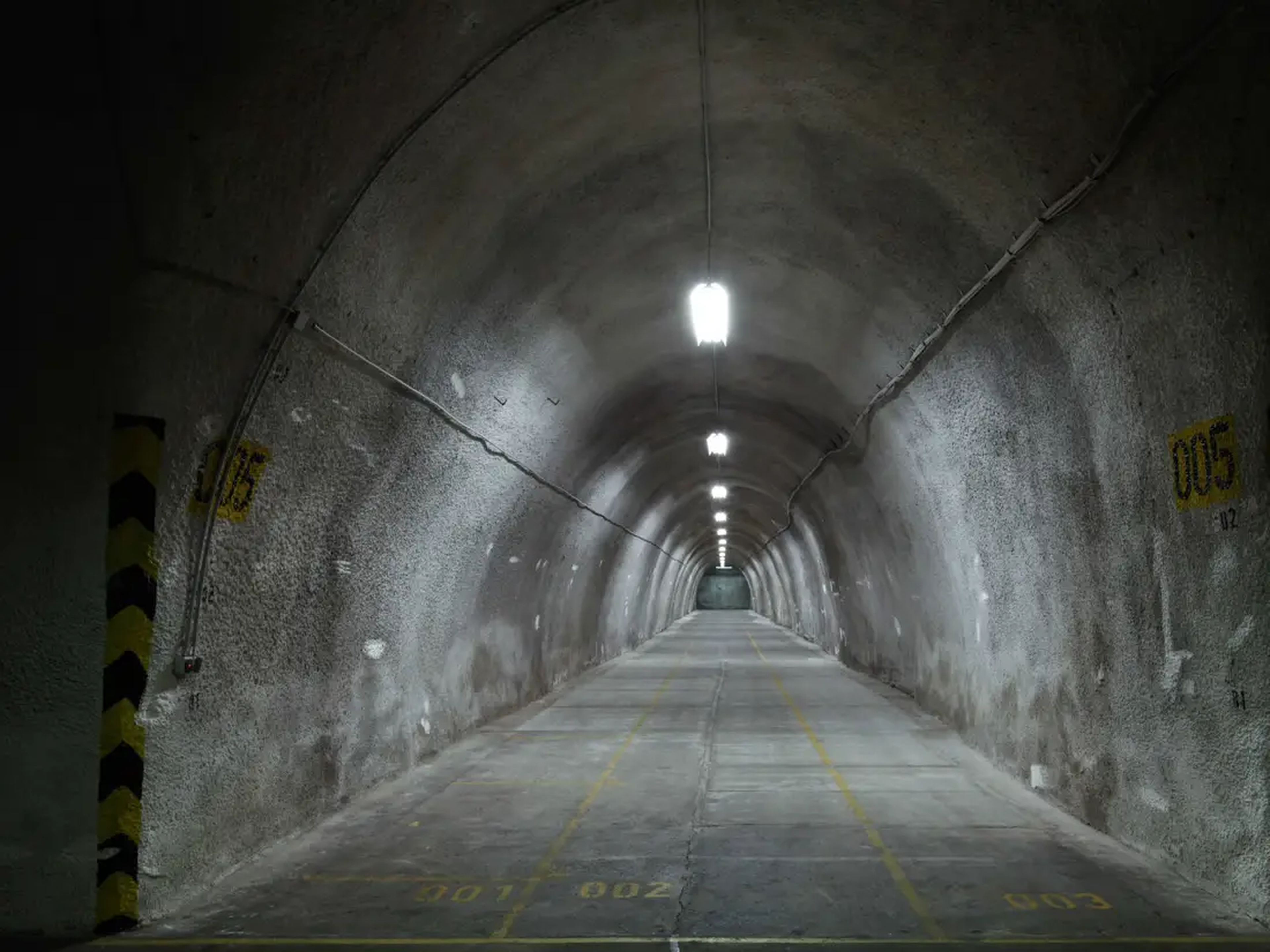túneles vivos
