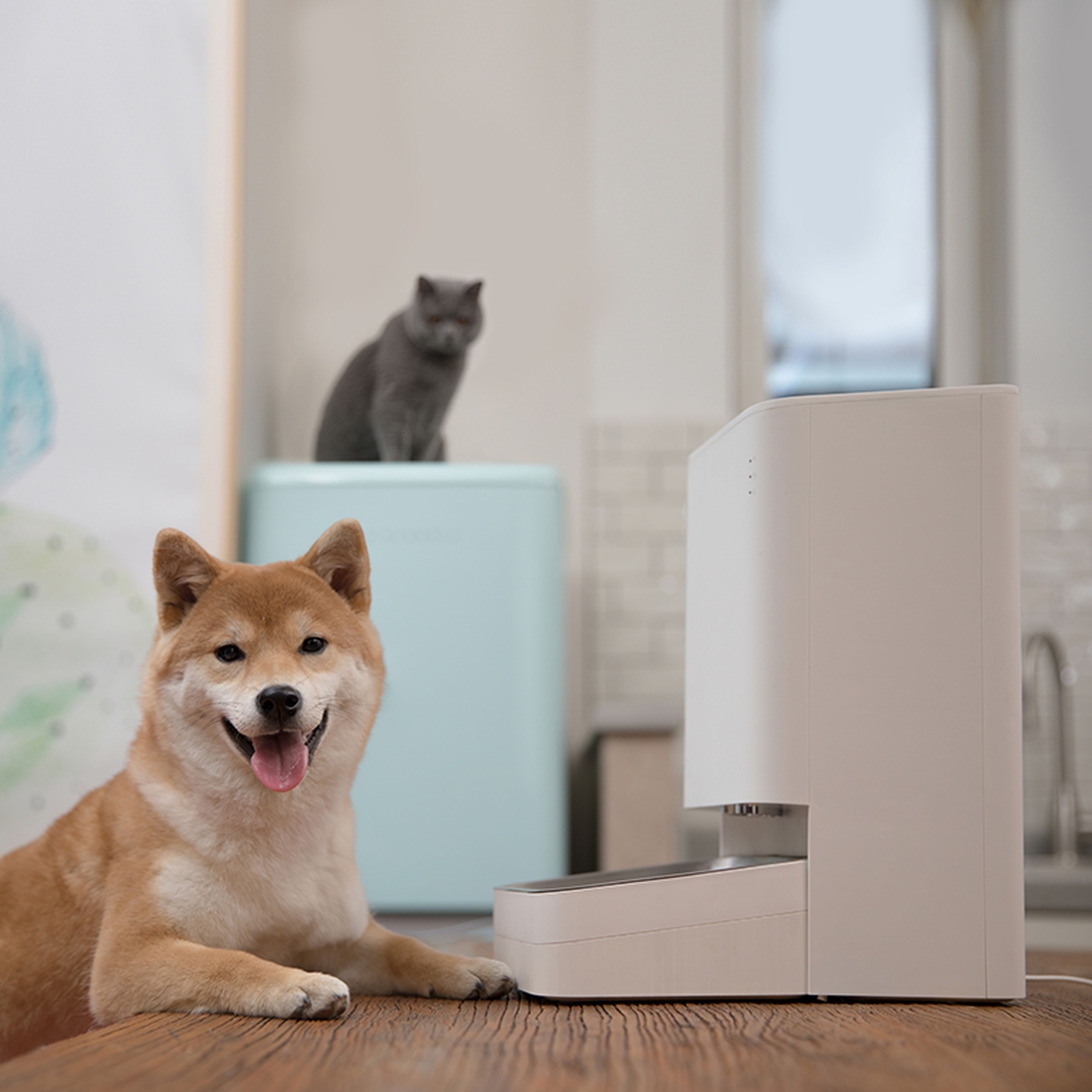 Xiaomi se compromete con la innovación y amplía su catálogo para ofrecer dispositivos para mascotas