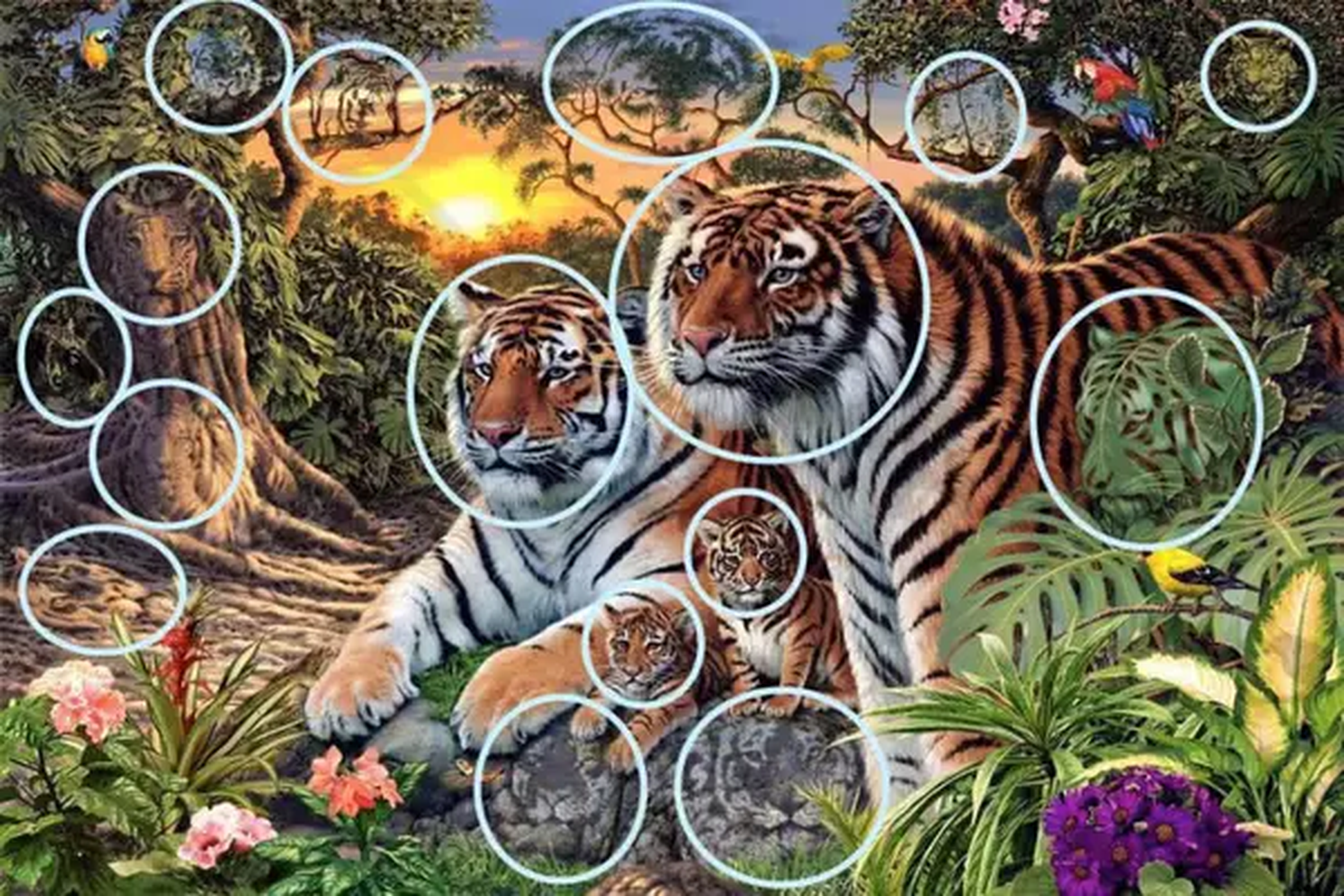 Cuántos tigres hay en la imagen