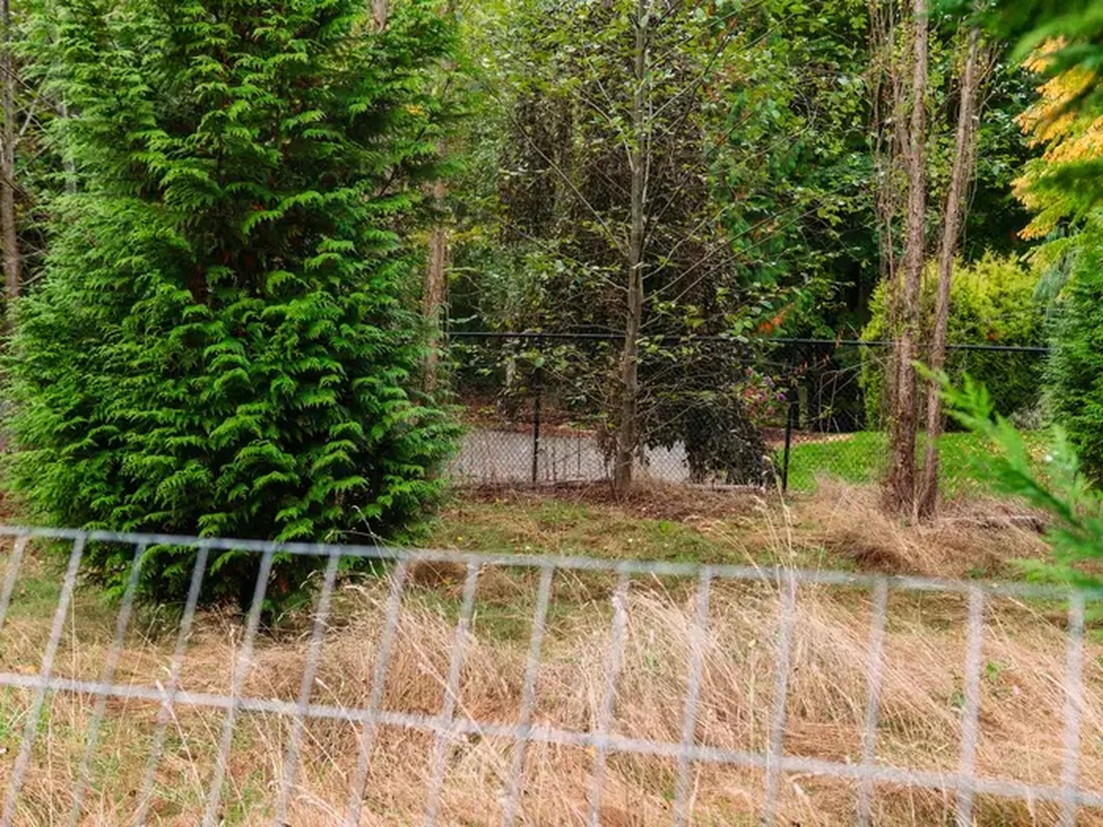 Kroll tiene una valla alrededor de su propiedad para sus huéspedes.