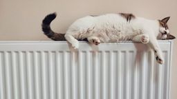 Gato descansando encima de un radiador