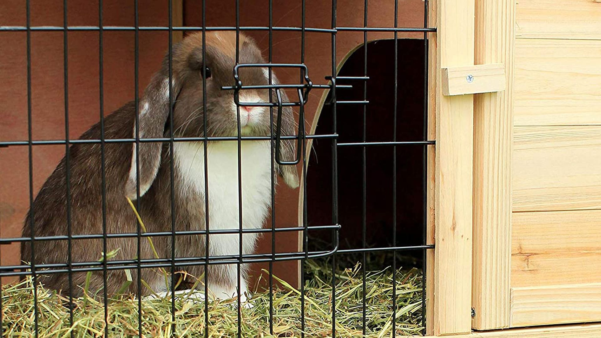 Las mejores jaulas para conejos que puedes comprar