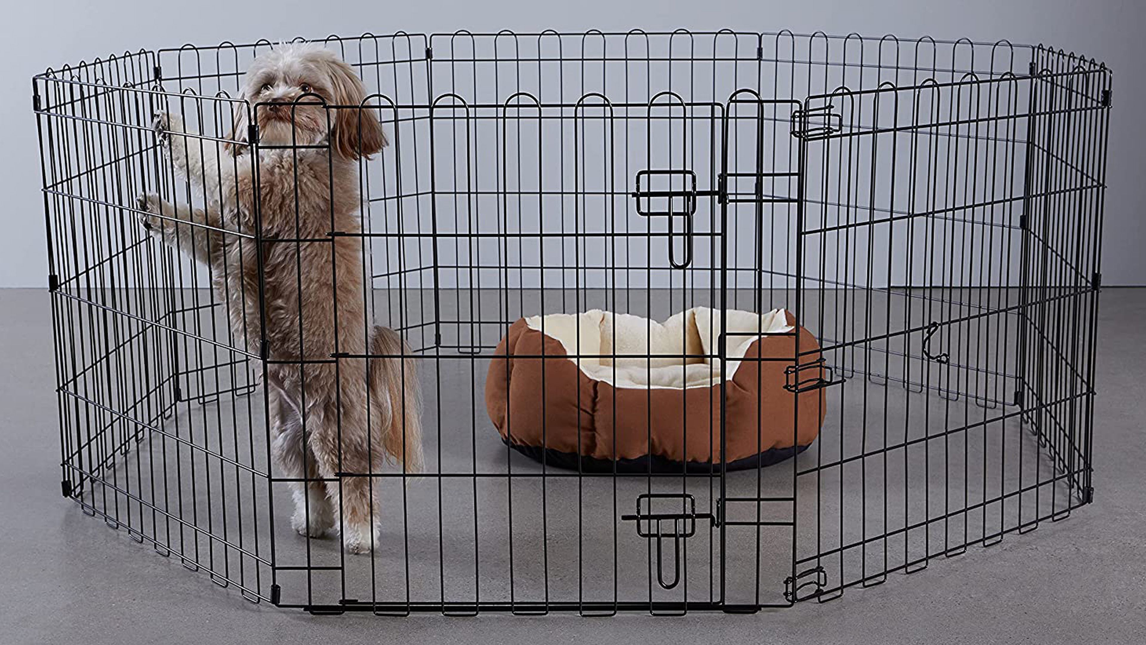 Las mejores jaulas para perro que puedes comprar