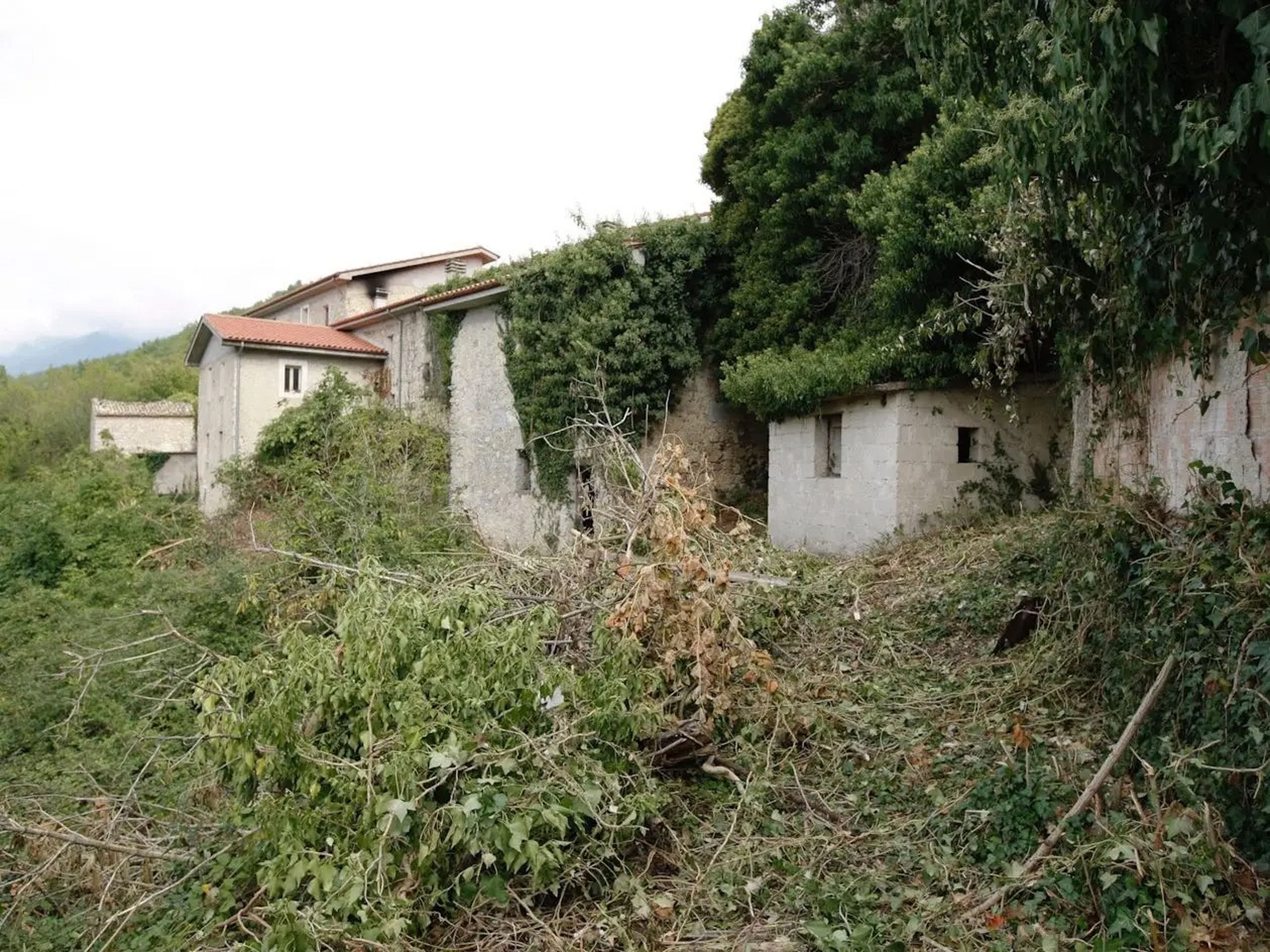 an overgrown Italian village