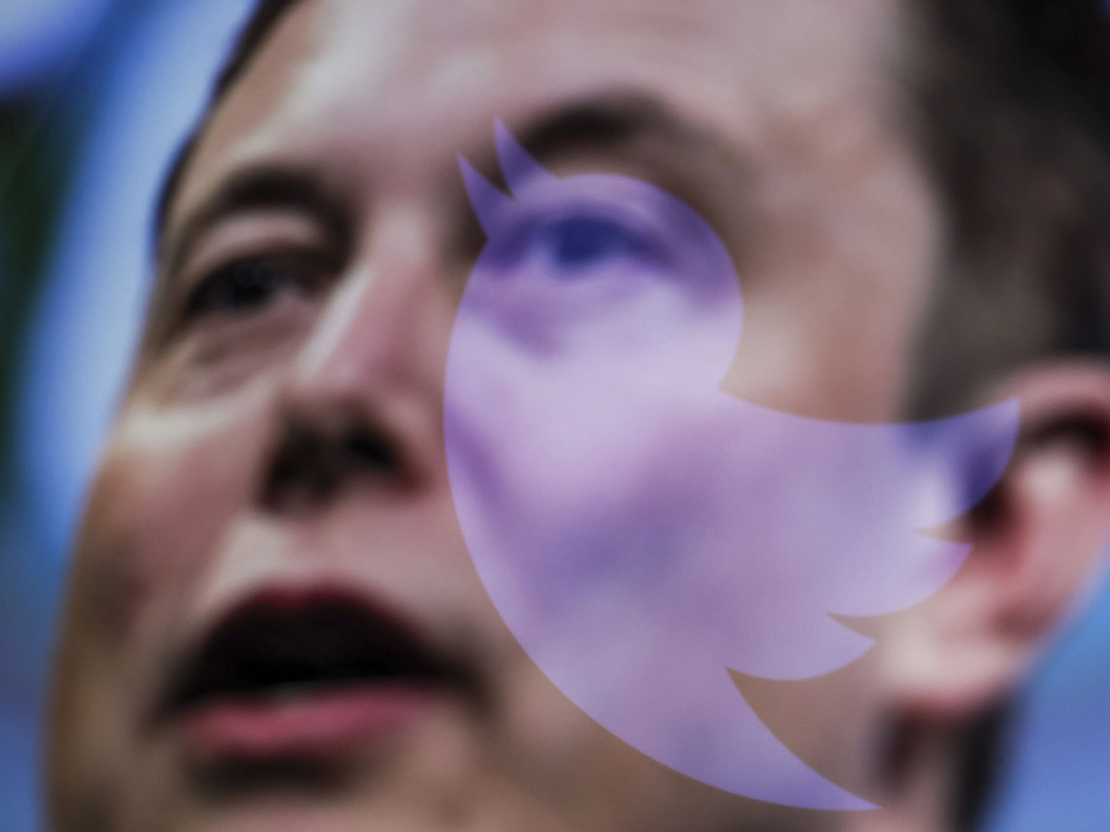 Elon Musk, propietario y CEO de Twitter y Tesla.