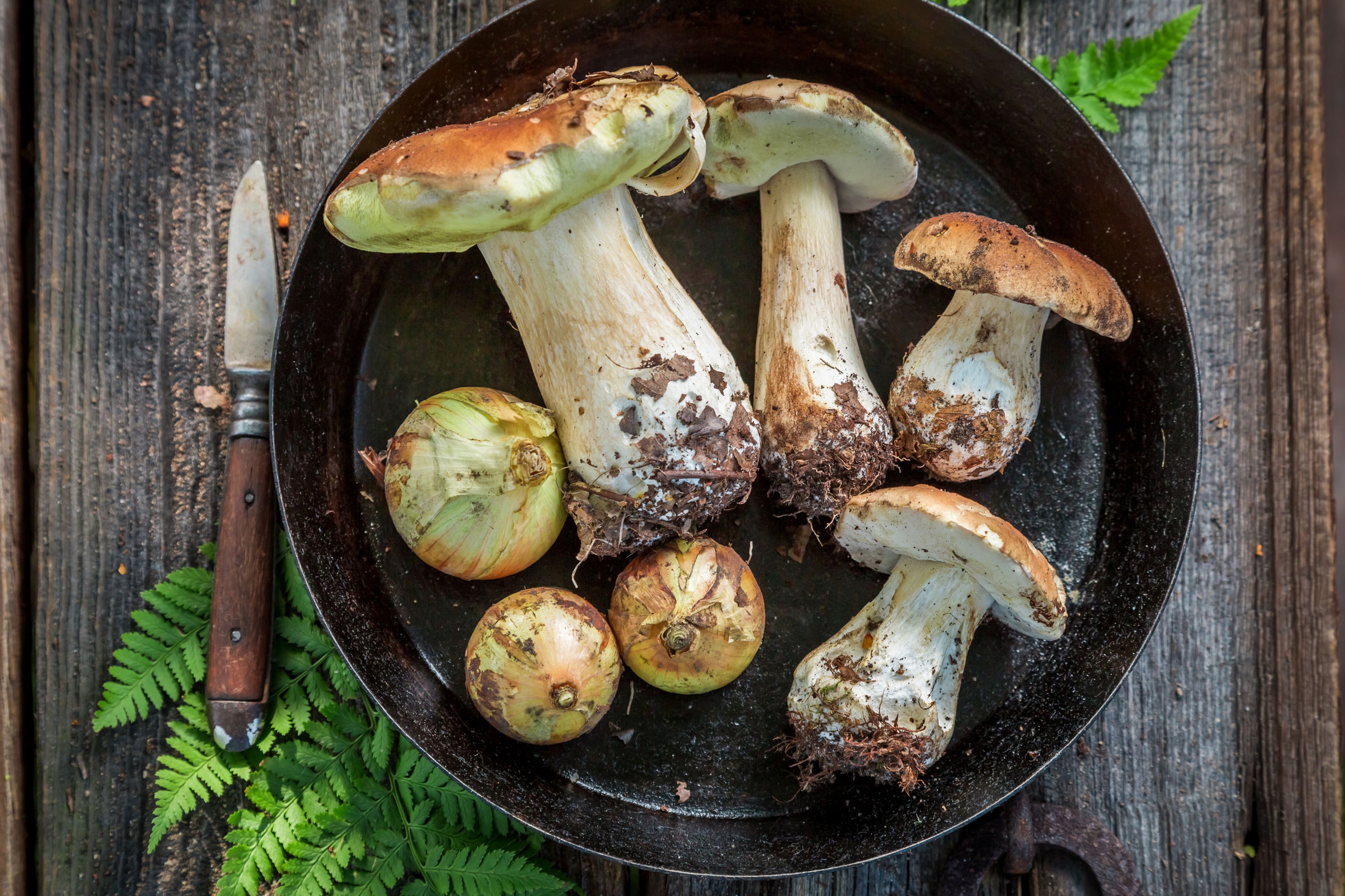 Salsa de boletus