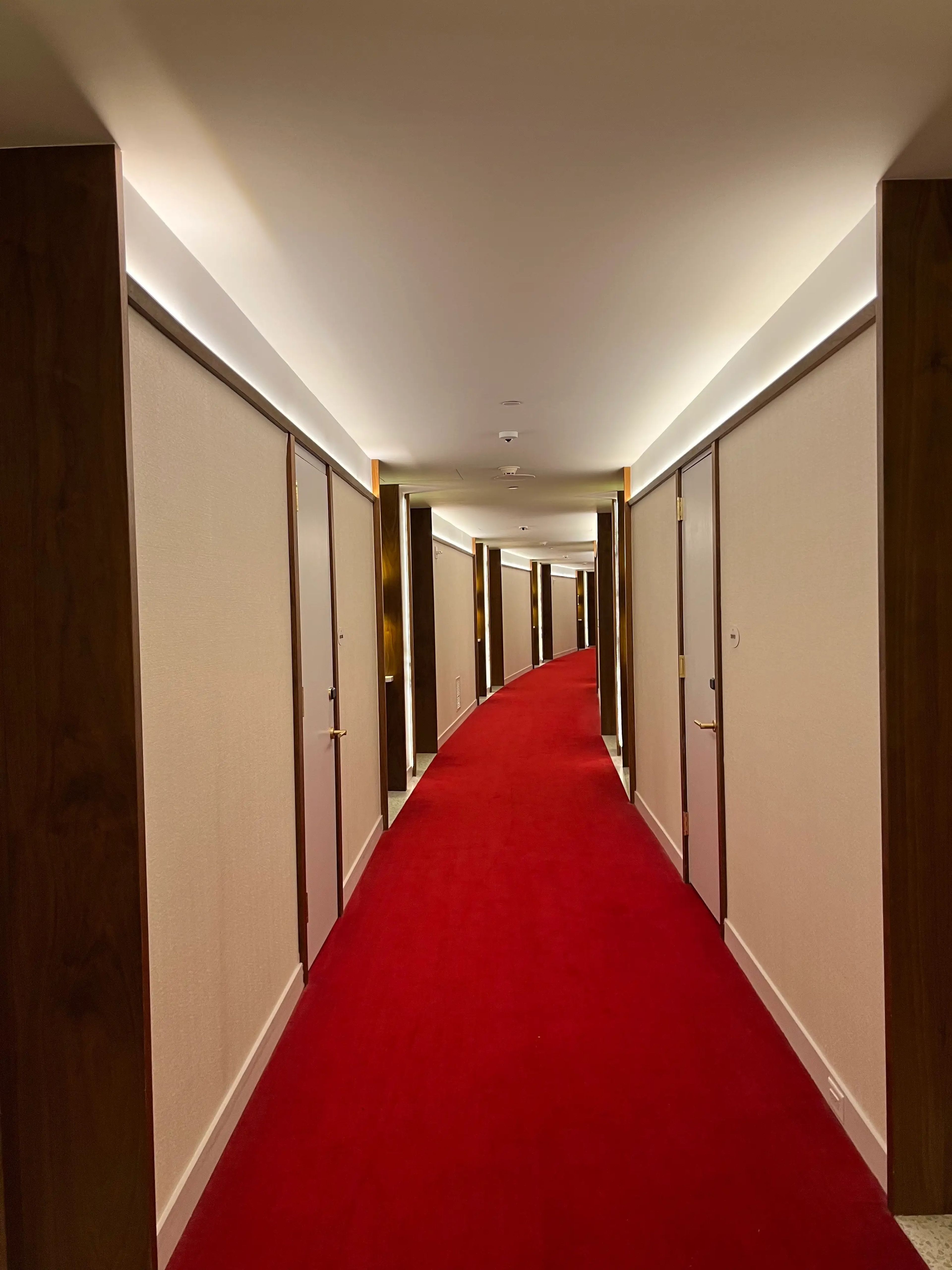 TWA HOTEL hallway with red carpet