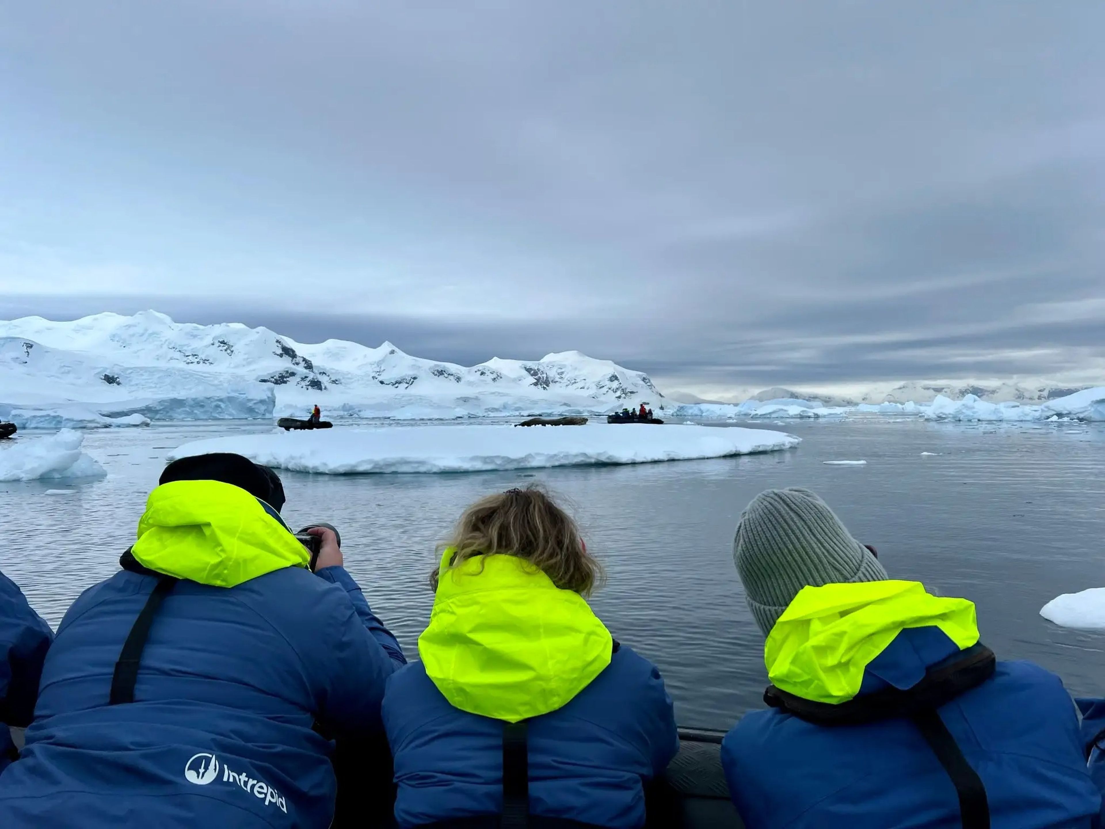 Intrepid Travel passengers looking out at Antarctica.