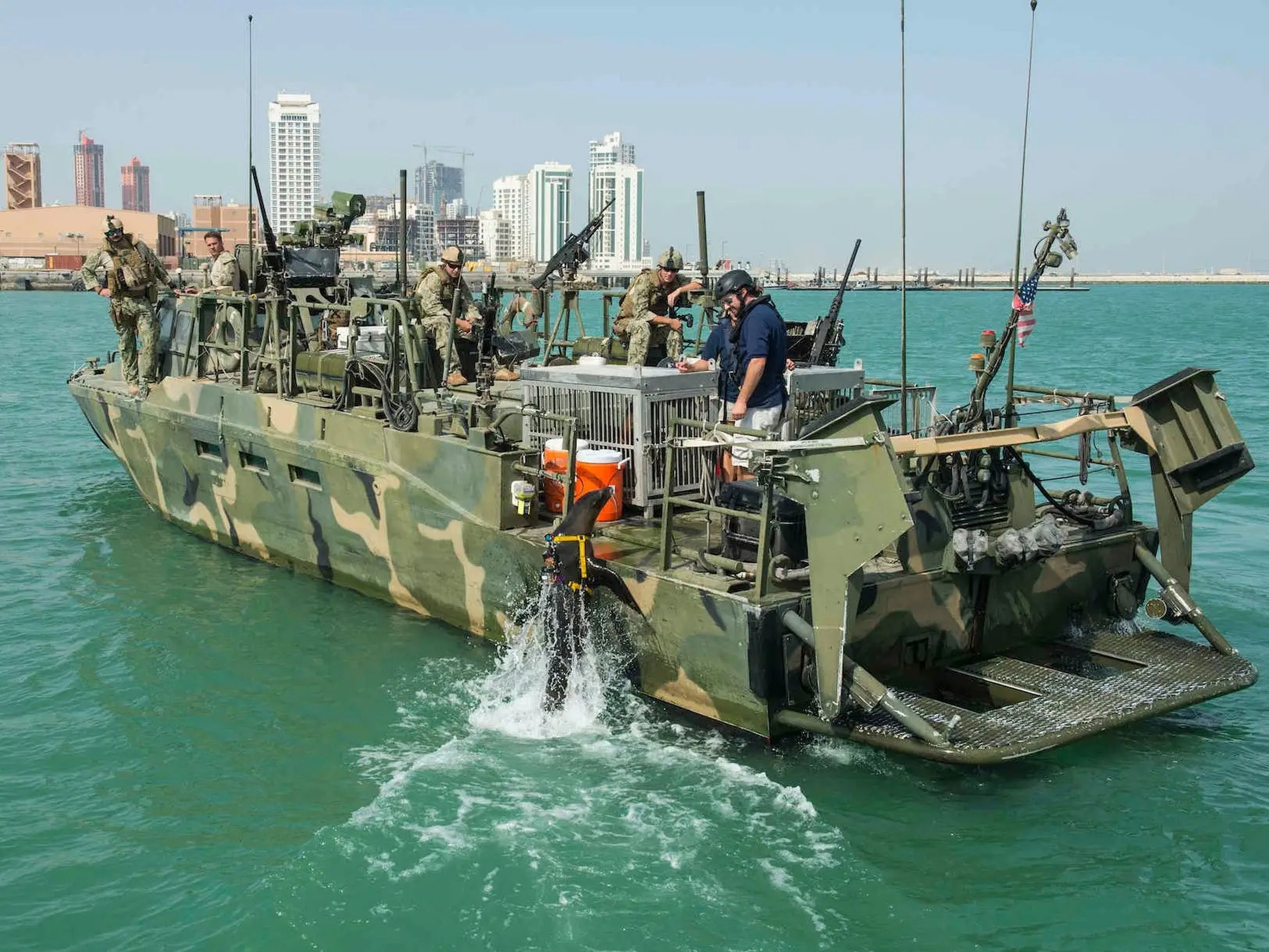 Un león marino de la Marina estadounidense salta a una embarcación de mando fluvial durante un ejercicio de contramedidas antiminas, Bahréin, en noviembre de 2014.