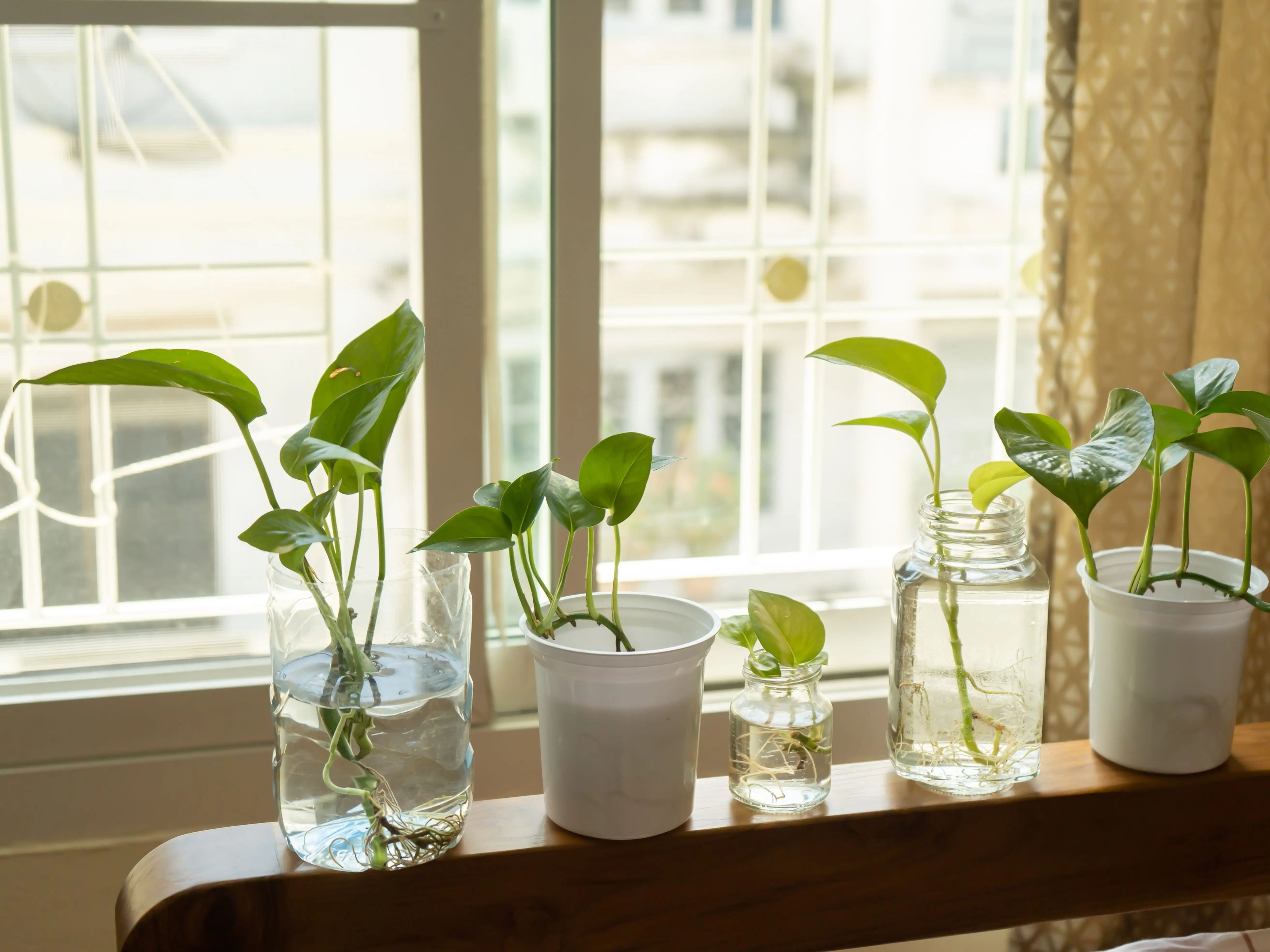 Los elementos naturales como muebles de madera o plantas, serán un imprescindible en los dormitorios.