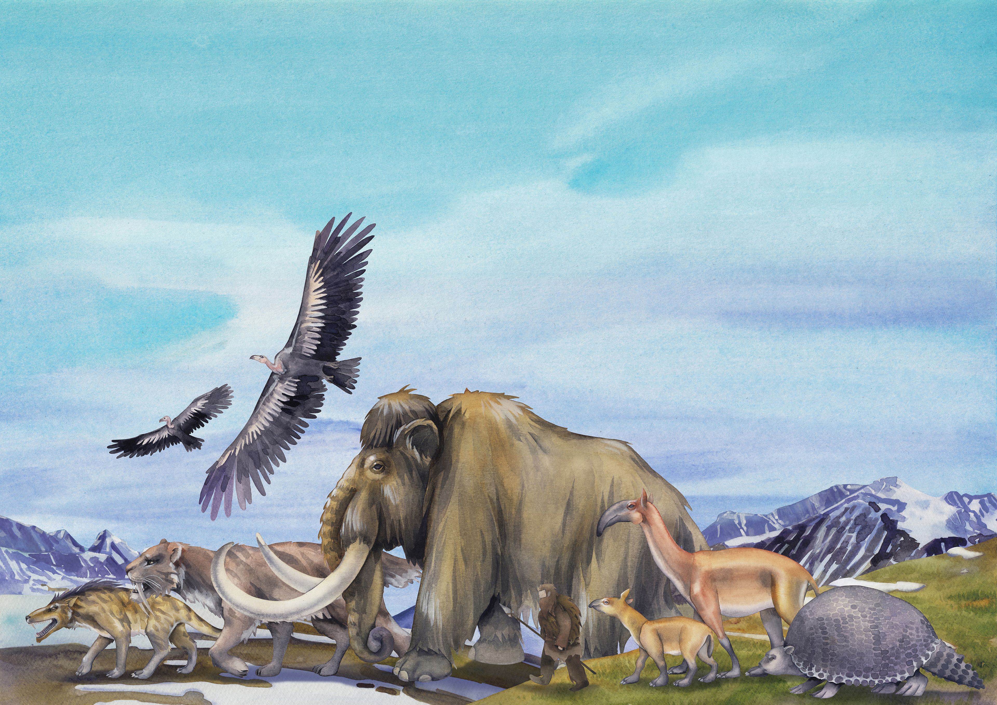 Prehistoria, animales, mamut
