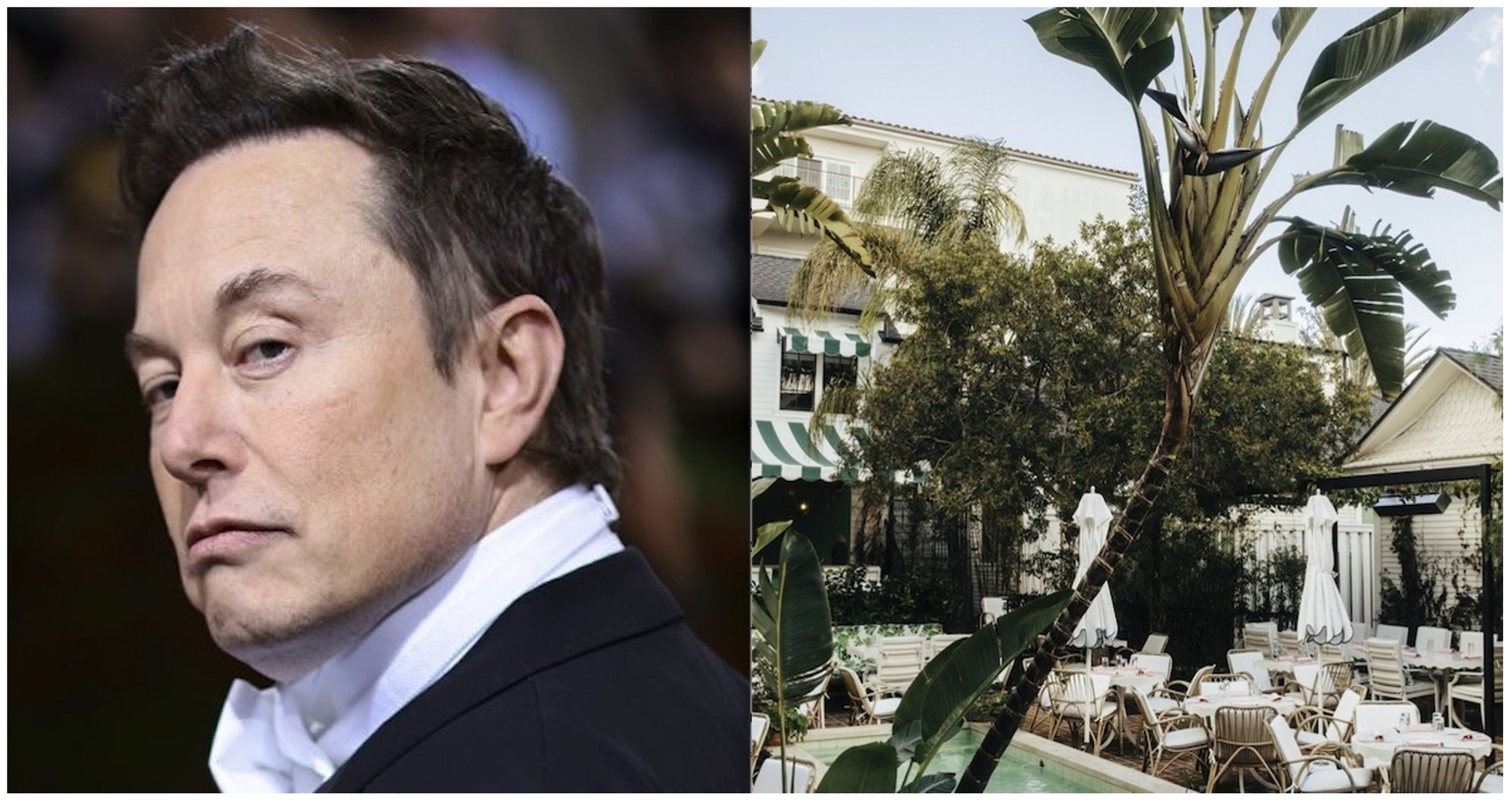 Elon Musk y el exclusivo club de Hollywood.