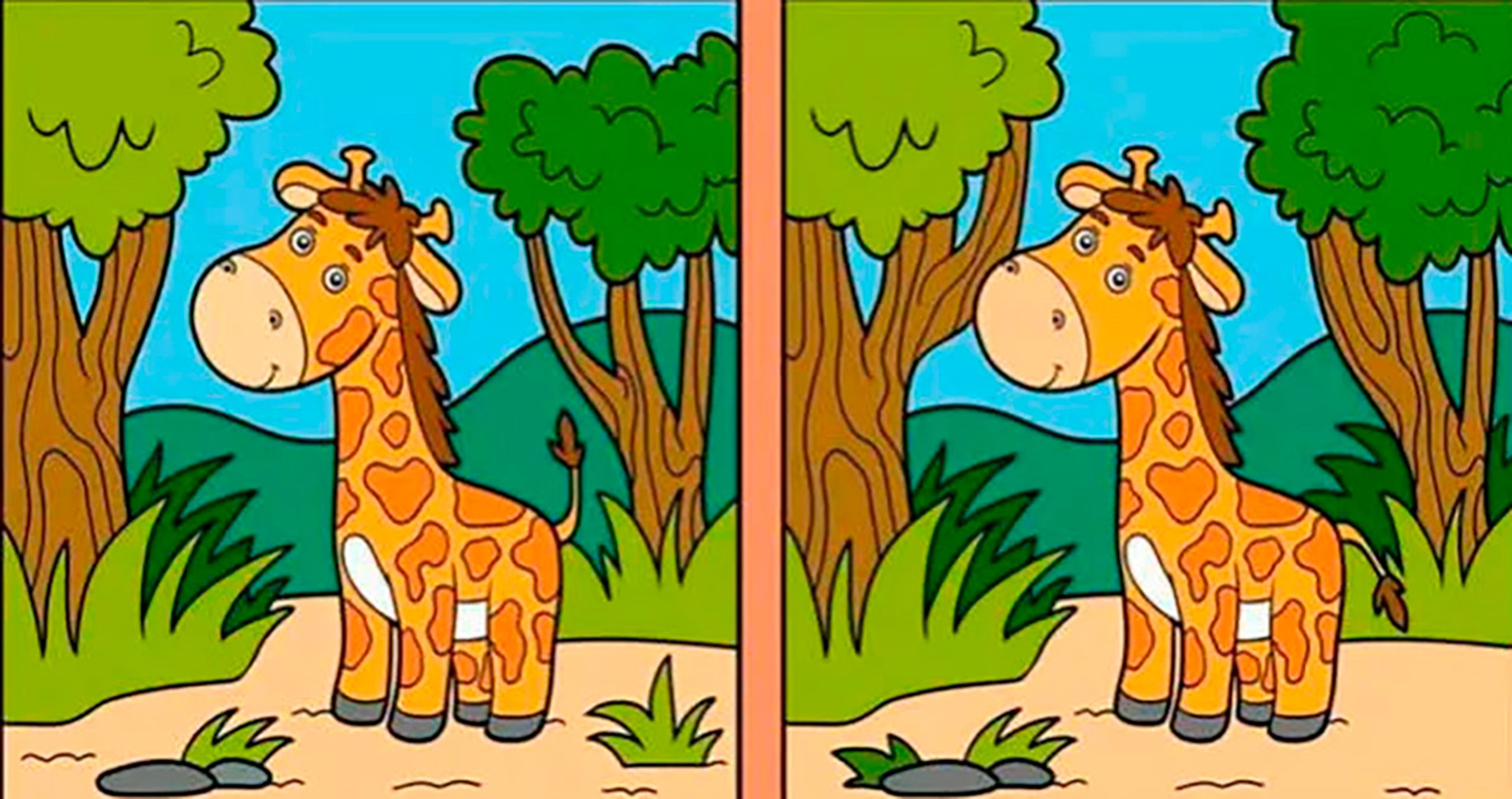 Encuentra las diferencias entre jirafas