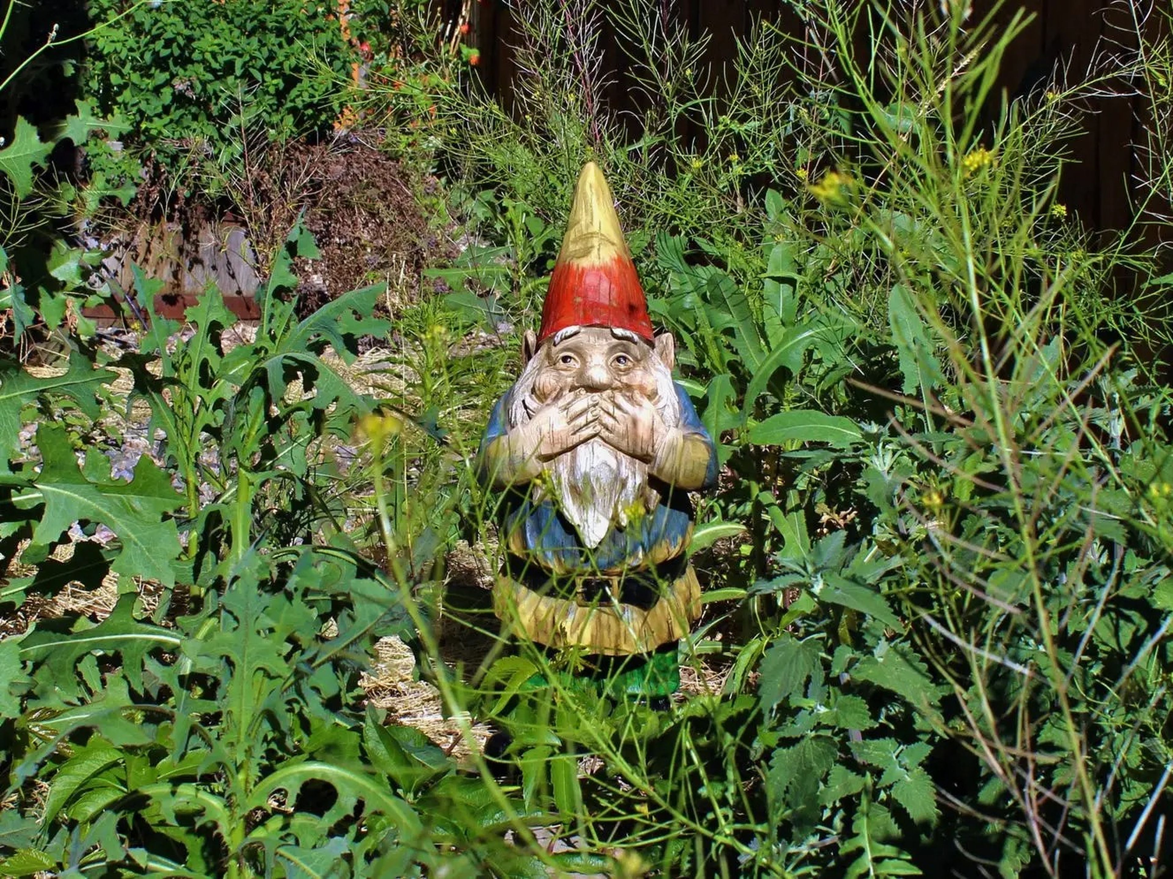 gnome in a weedy yard