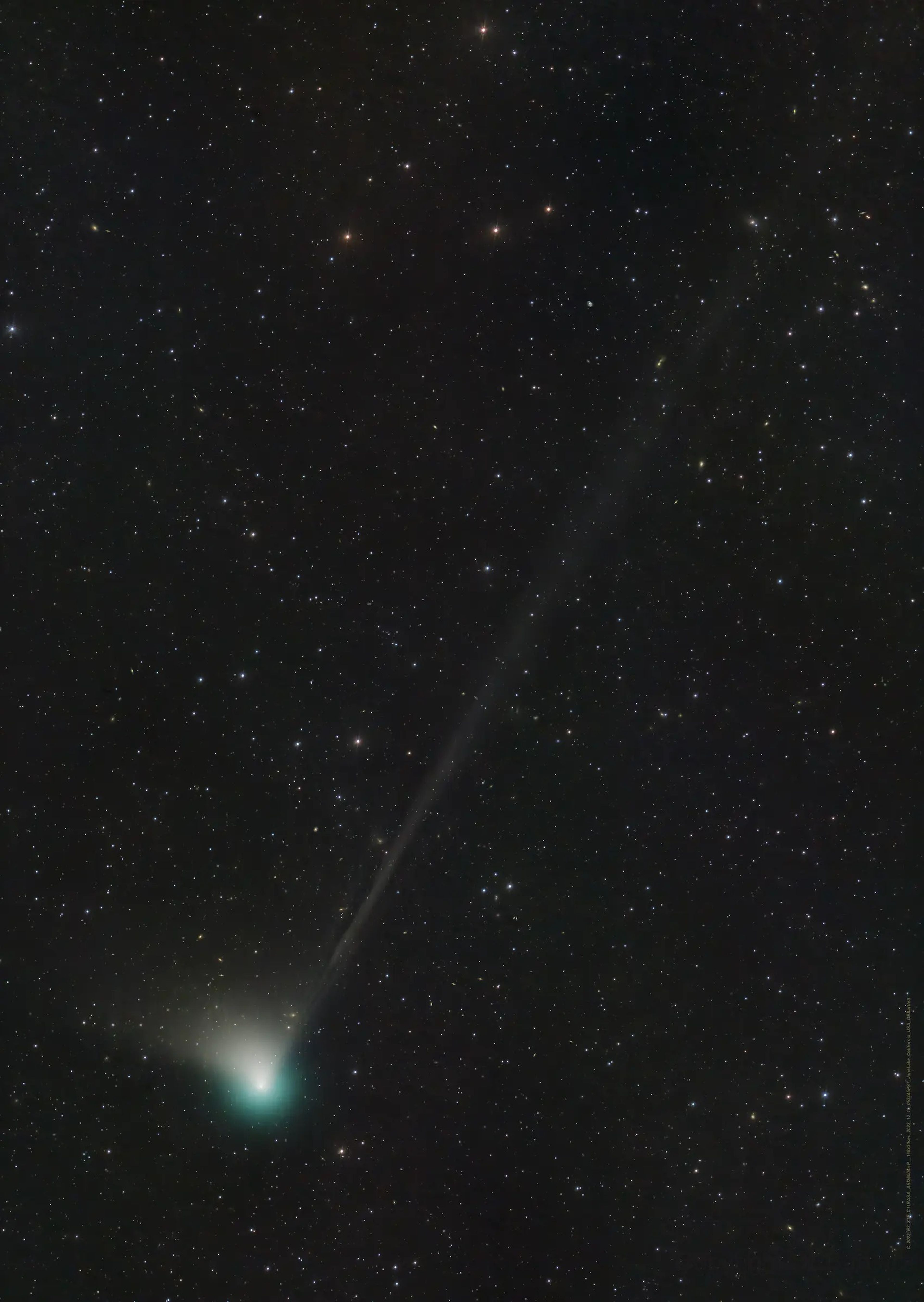 El cometa ZTF, capturado el 19 de diciembre, 2022.