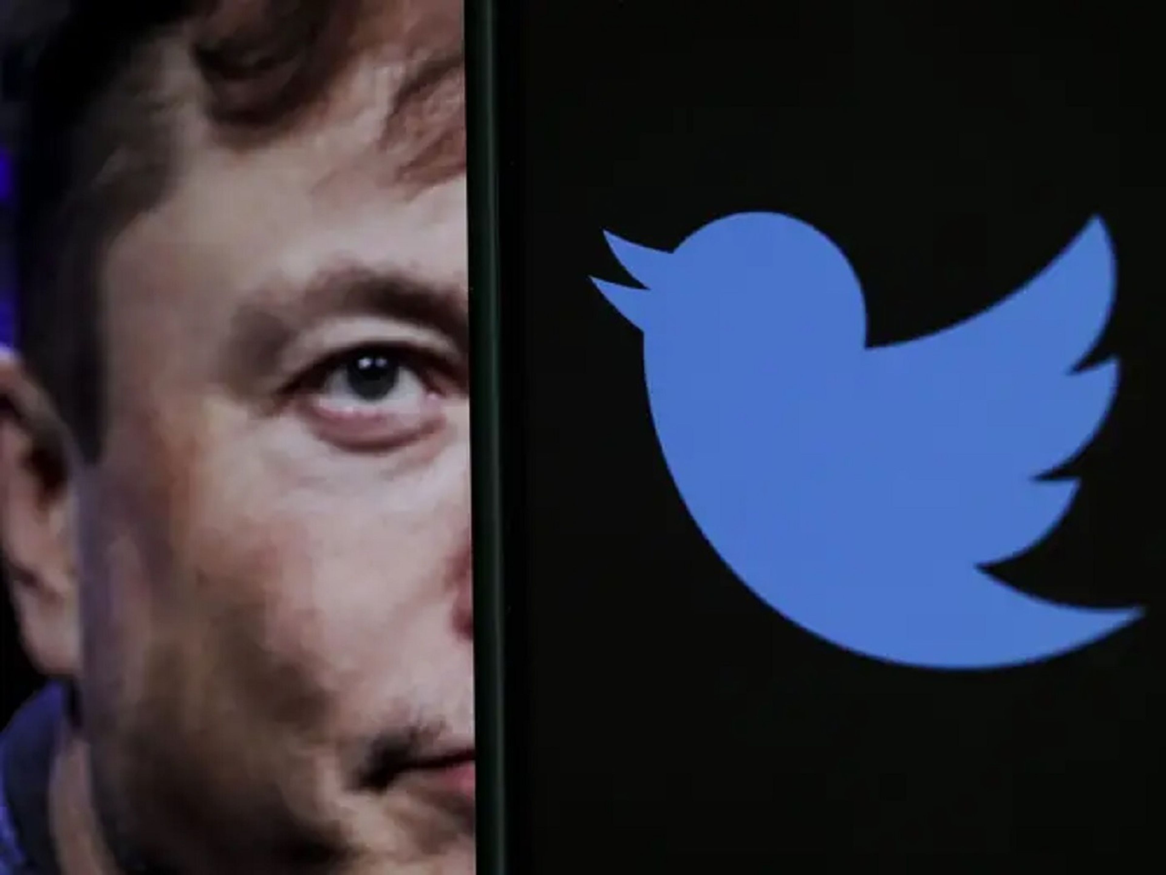 Montaje de Elon Musk con el logo de Twitter.