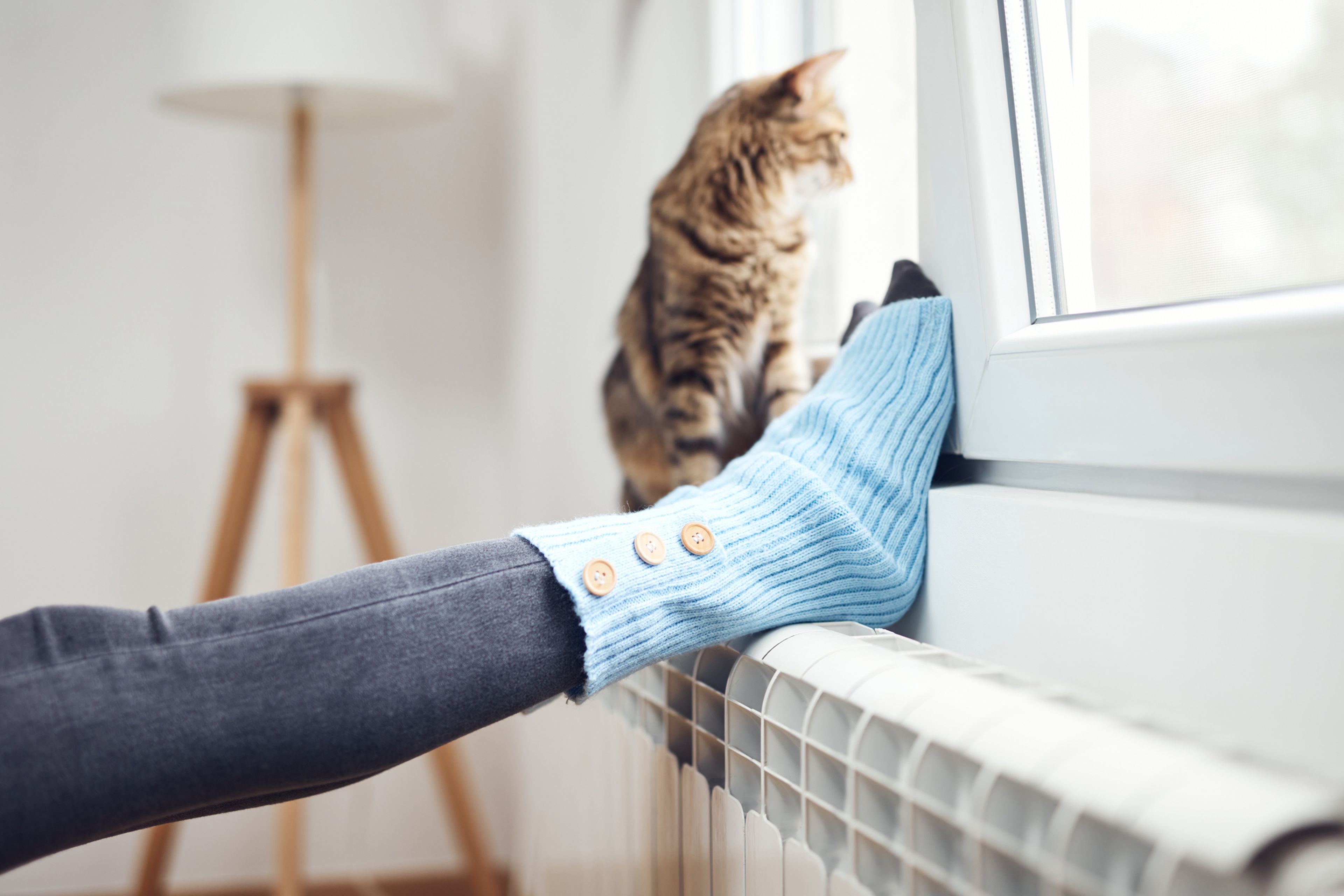 Una persona pone los pies encima del radiador con un gato al lado.