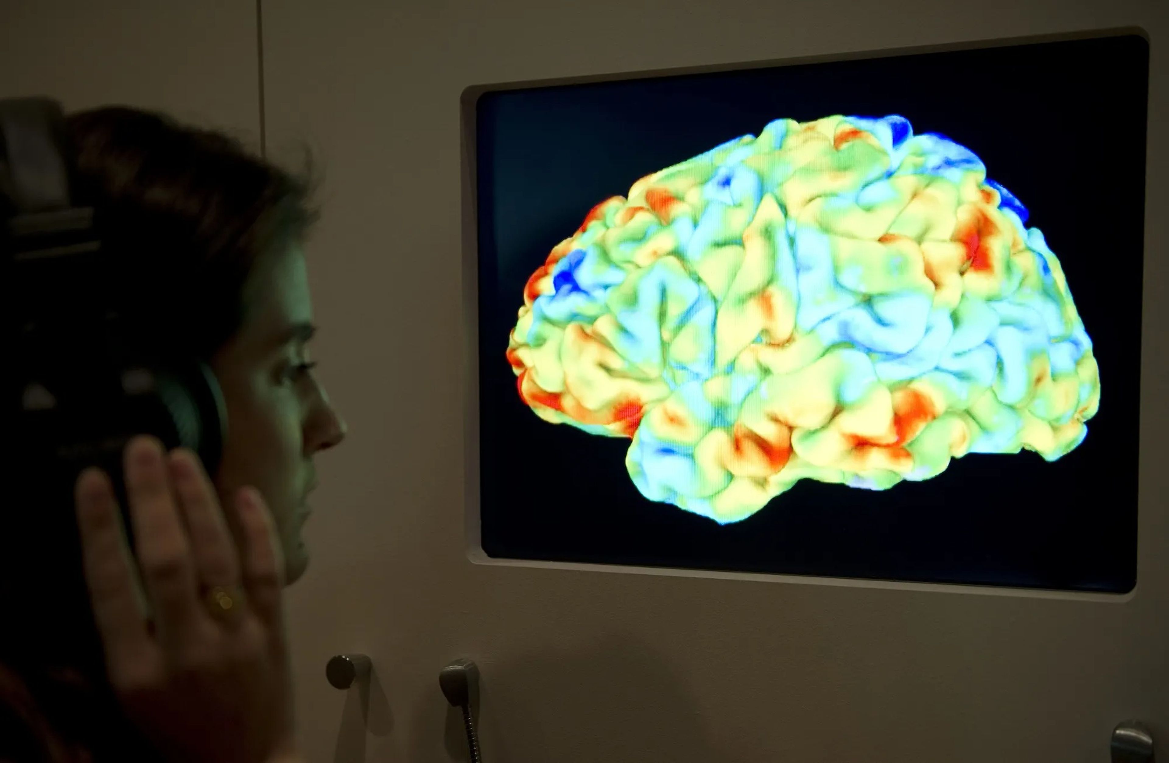 A woman looks at a heatmap of the brain during an exhibition